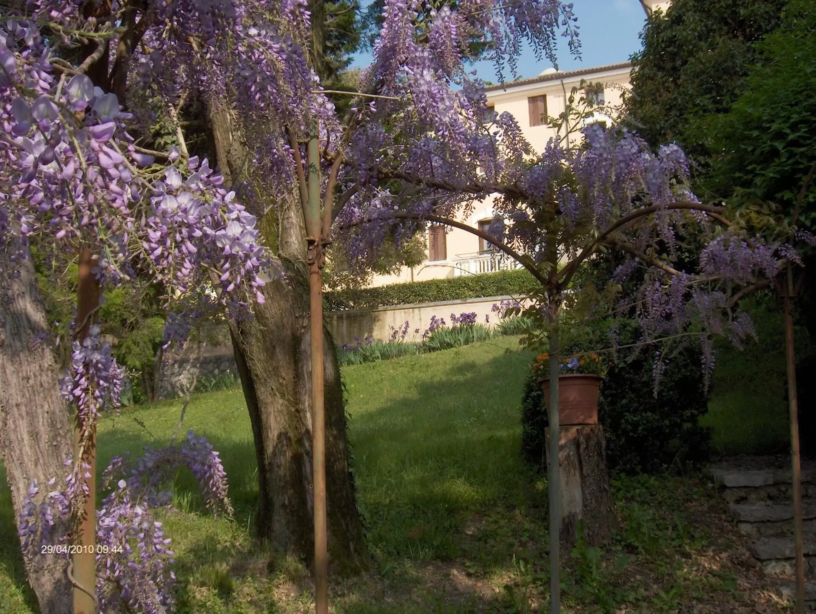 Facade/entrance, Garden in Villa Scalabrini