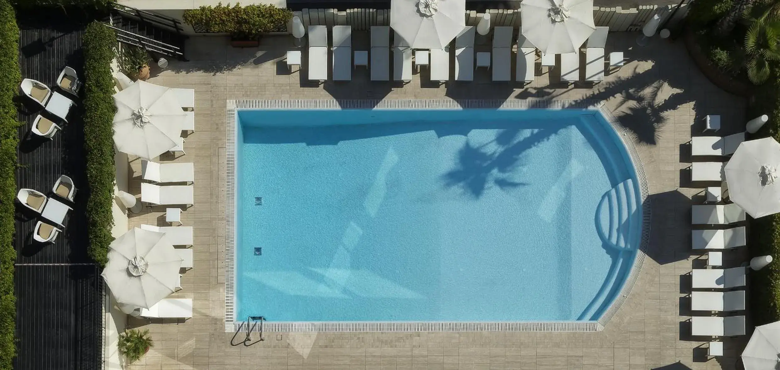 Swimming pool, Pool View in Hotel Sporting