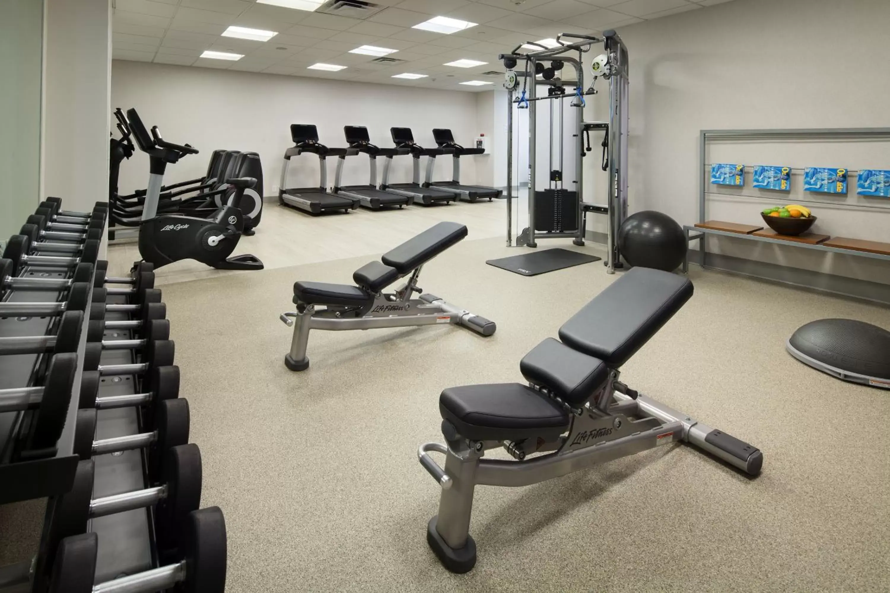 Fitness centre/facilities, Fitness Center/Facilities in The Westin Oaks Houston at the Galleria
