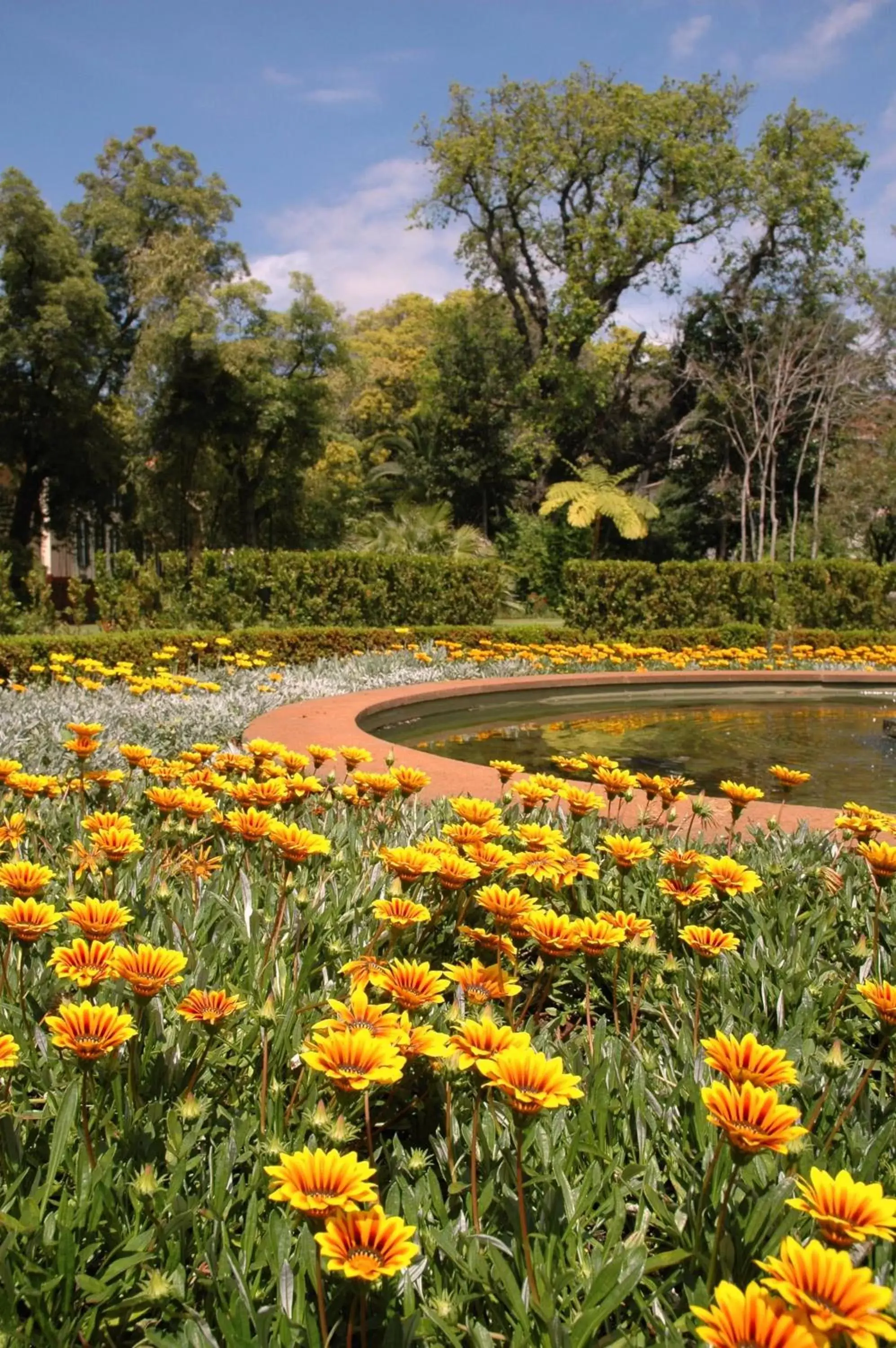 Garden in Quinta da Bela Vista