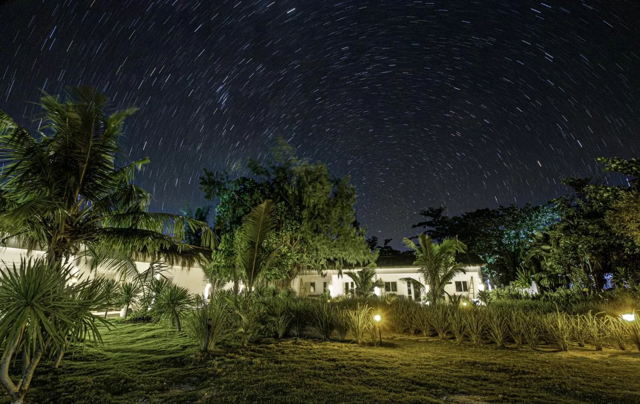 Garden in Ocean Vida Beach and Dive Resort