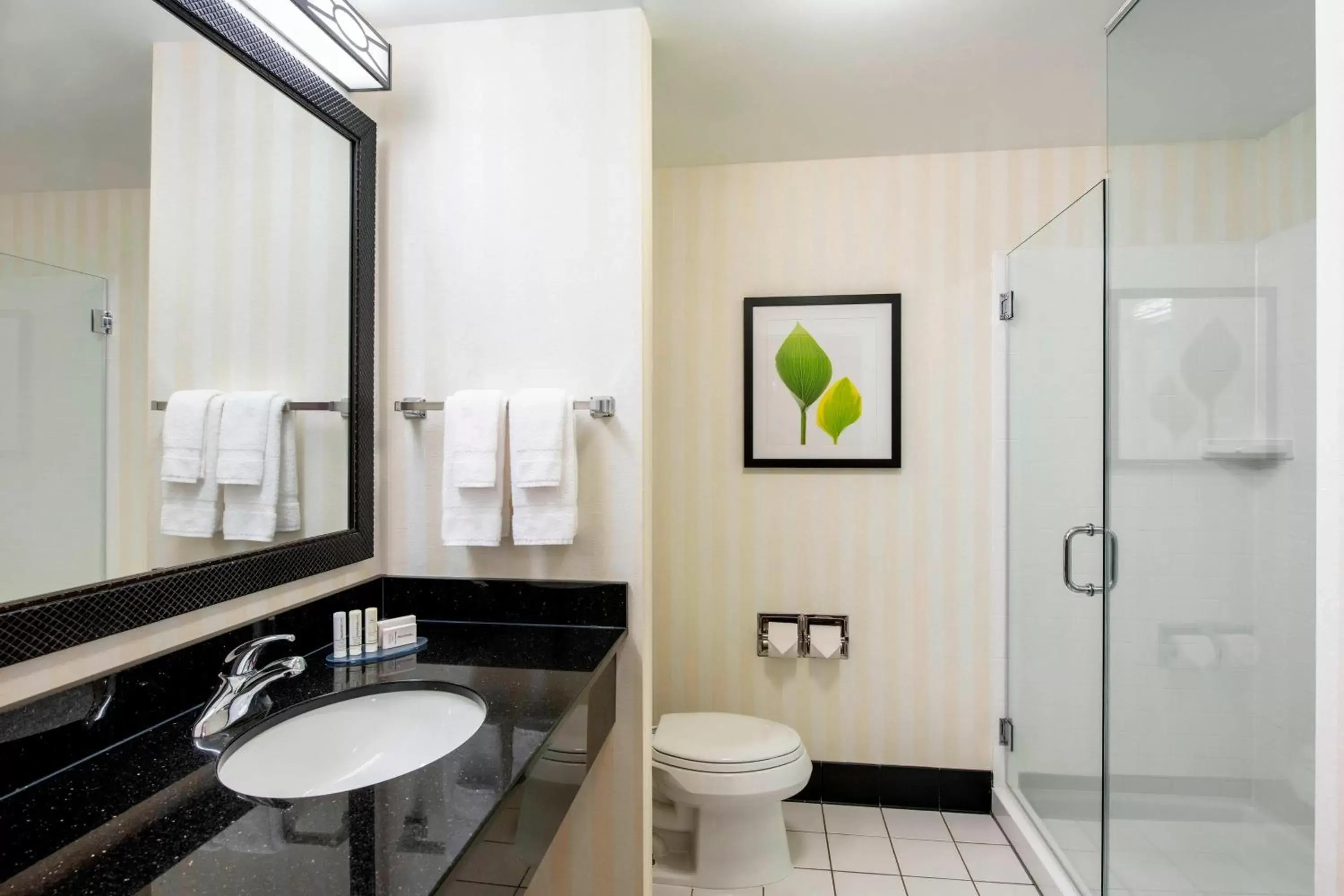 Bathroom in Fairfield Inn & Suites by Marriott Winnipeg