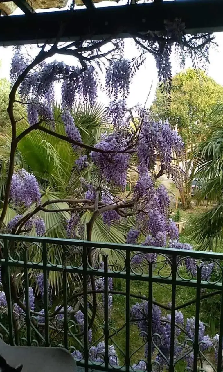 Garden view in La maison botanique