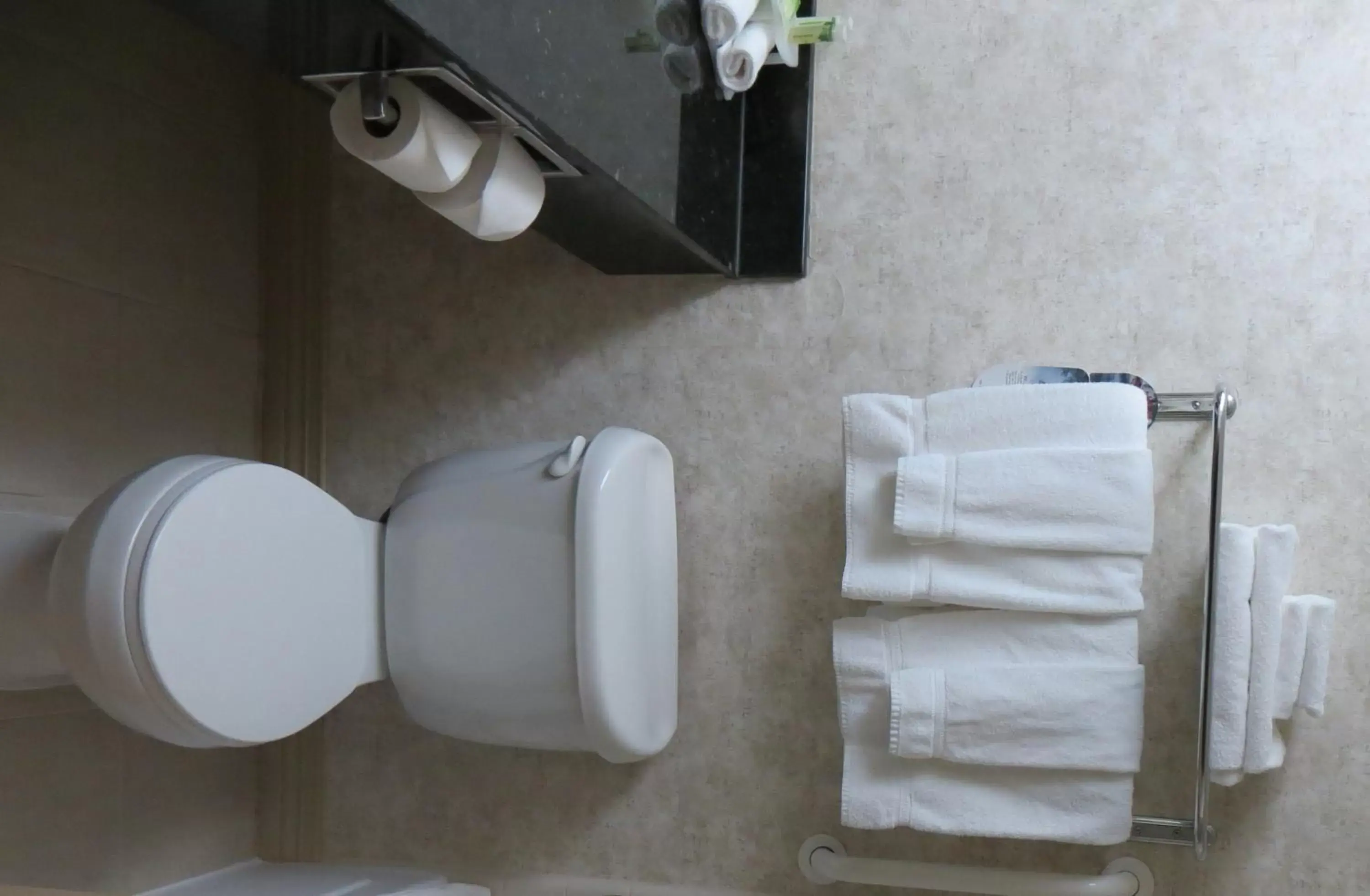 Toilet, Bathroom in Holiday Inn Express Hotel and Suites Valparaiso, an IHG Hotel