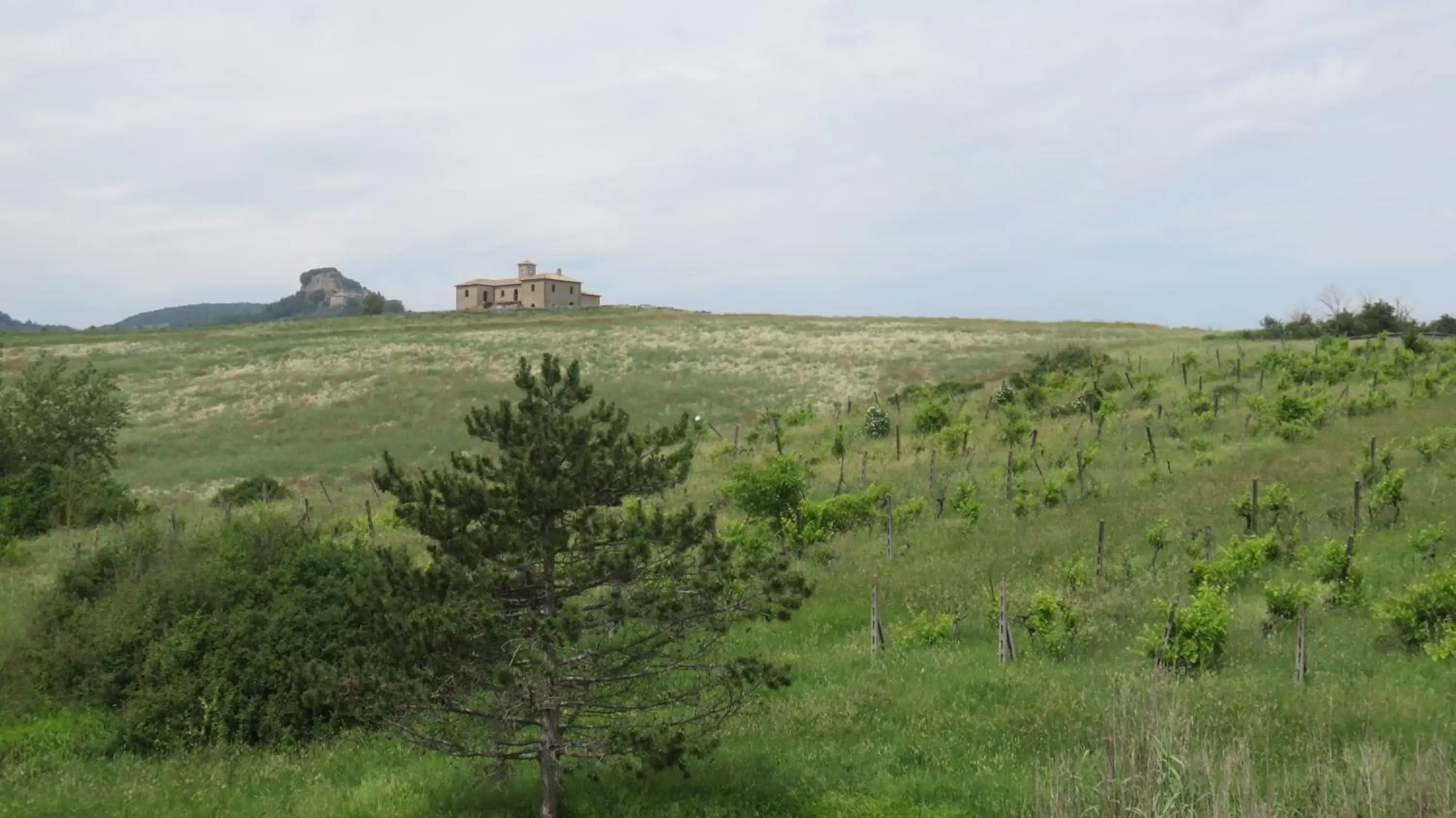 Hotel Oasi Dei Discepoli