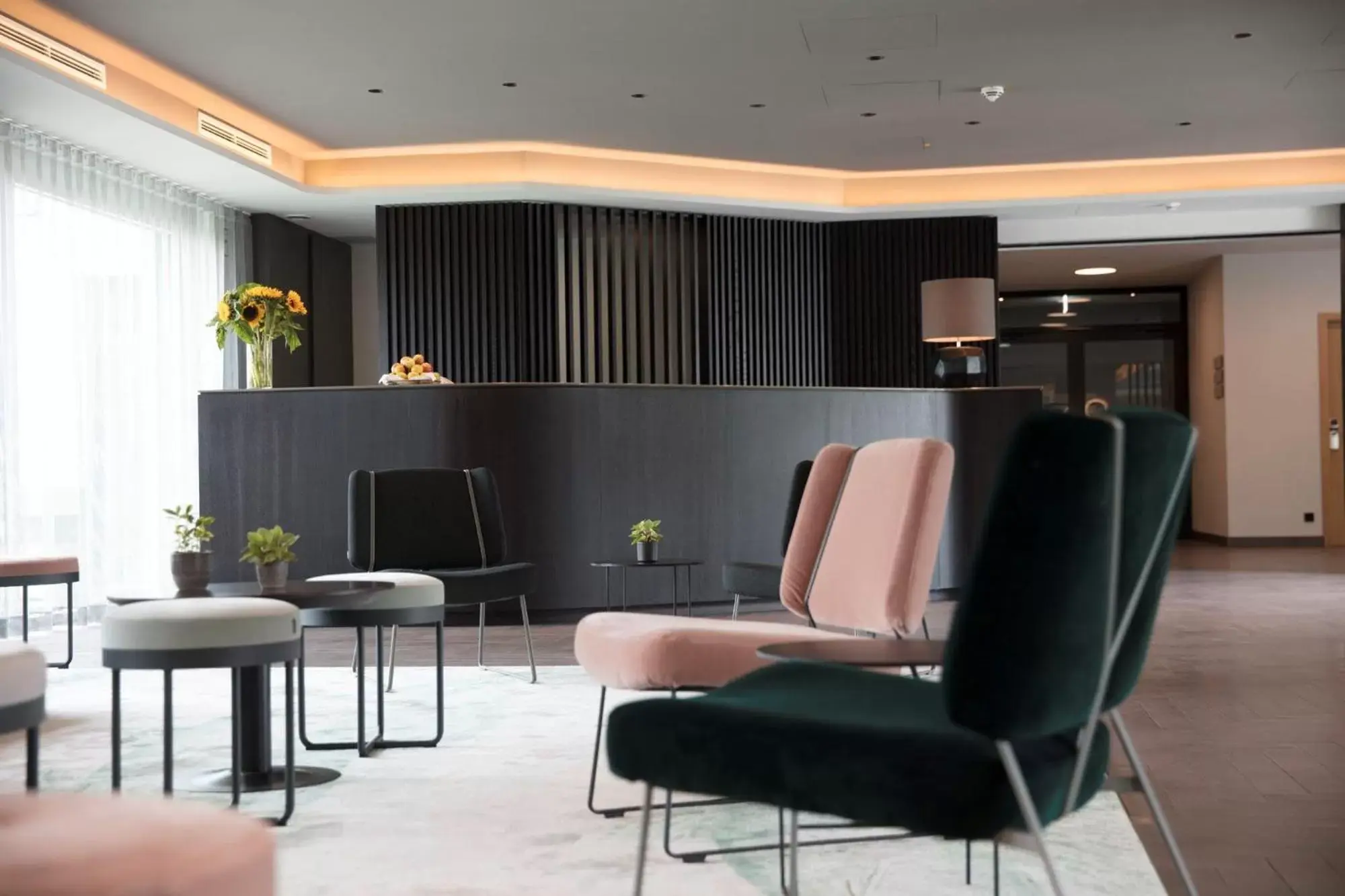 Lobby or reception, Seating Area in Soller Business Hotel & Restaurant Eisvogel