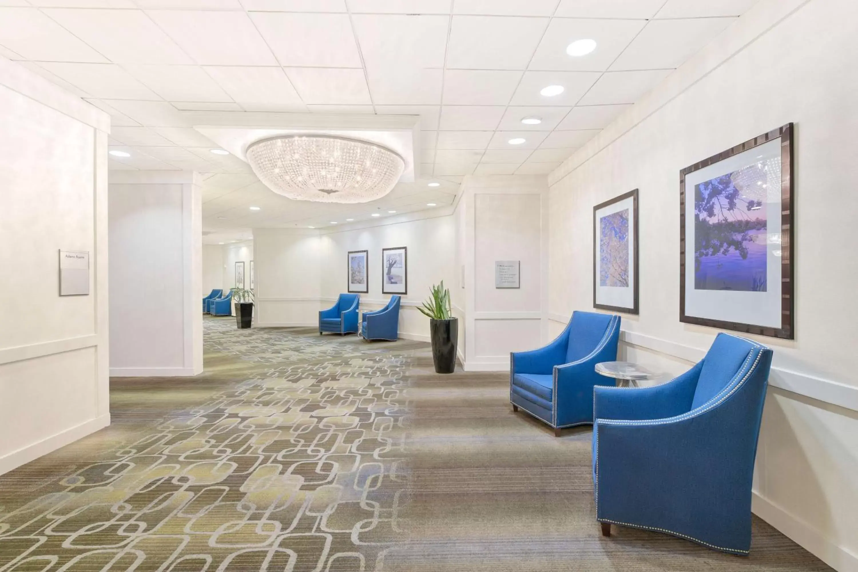 Meeting/conference room, Lobby/Reception in Hilton Arlington National Landing