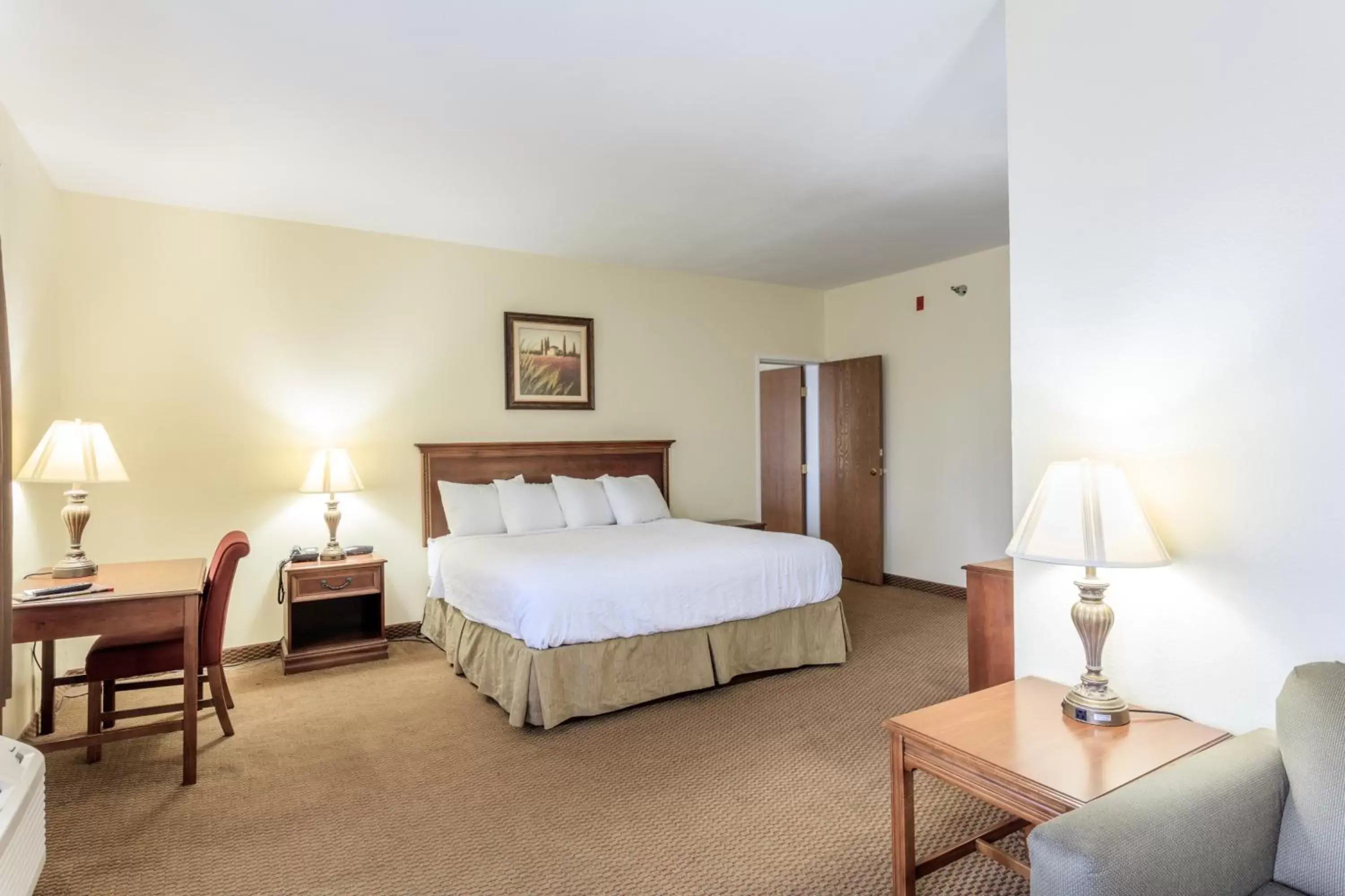 Photo of the whole room, Room Photo in Branson Towers Hotel