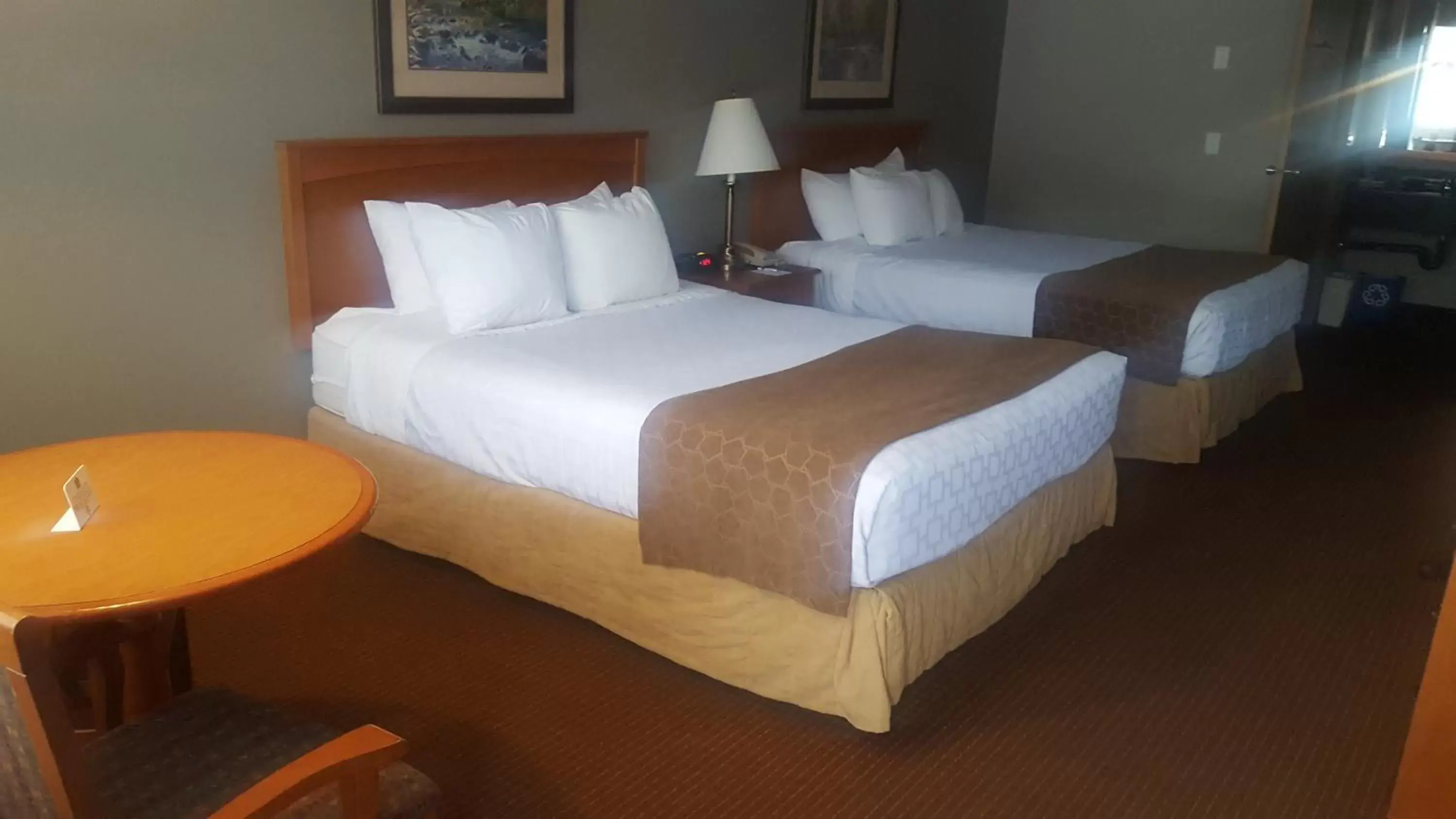 Photo of the whole room, Bed in SureStay Plus Hotel by Best Western Salmon Arm