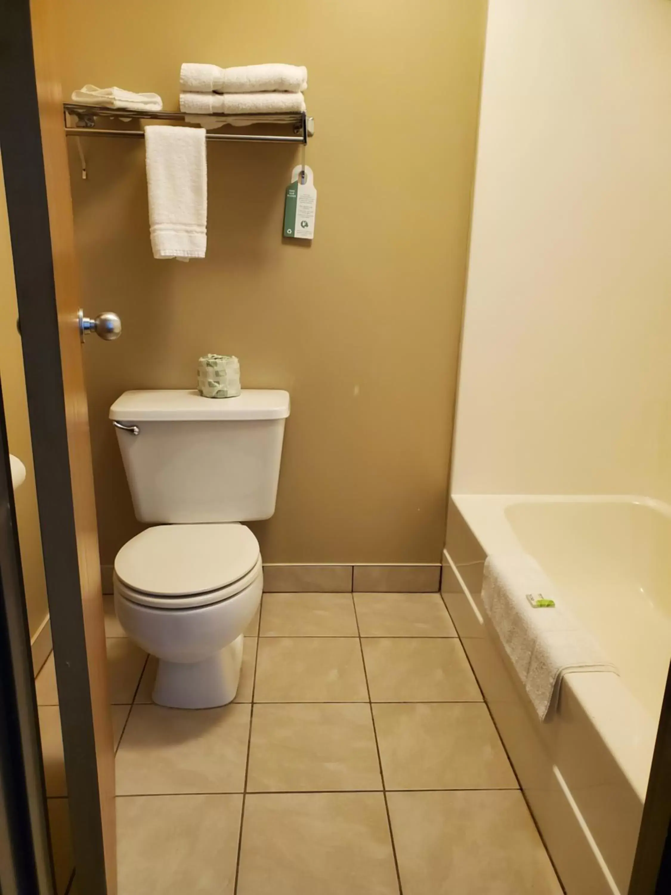 Bathroom in VICTORIAN INN