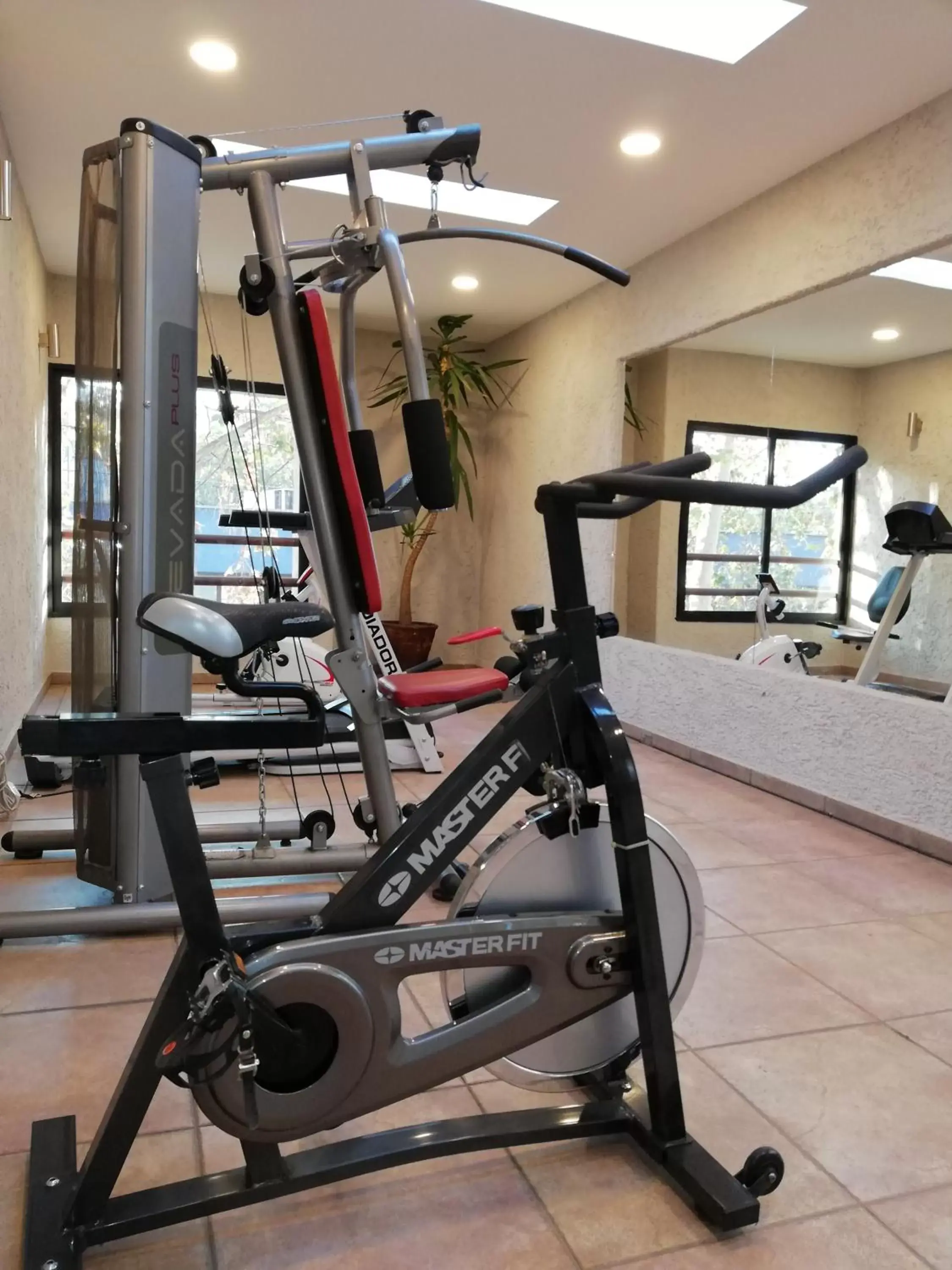 Fitness centre/facilities, Fitness Center/Facilities in Hotel Diego de Velazquez