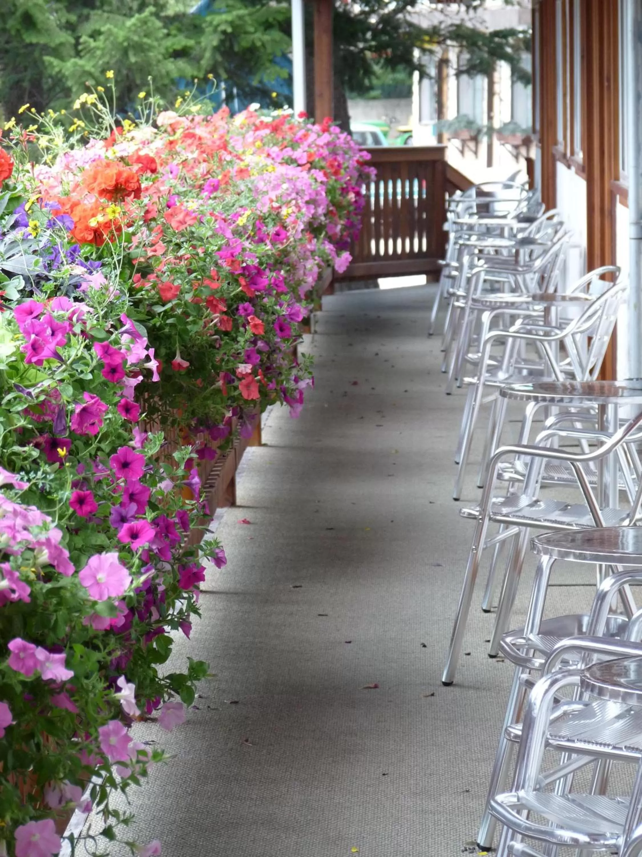 Balcony/Terrace in Gateway Motel