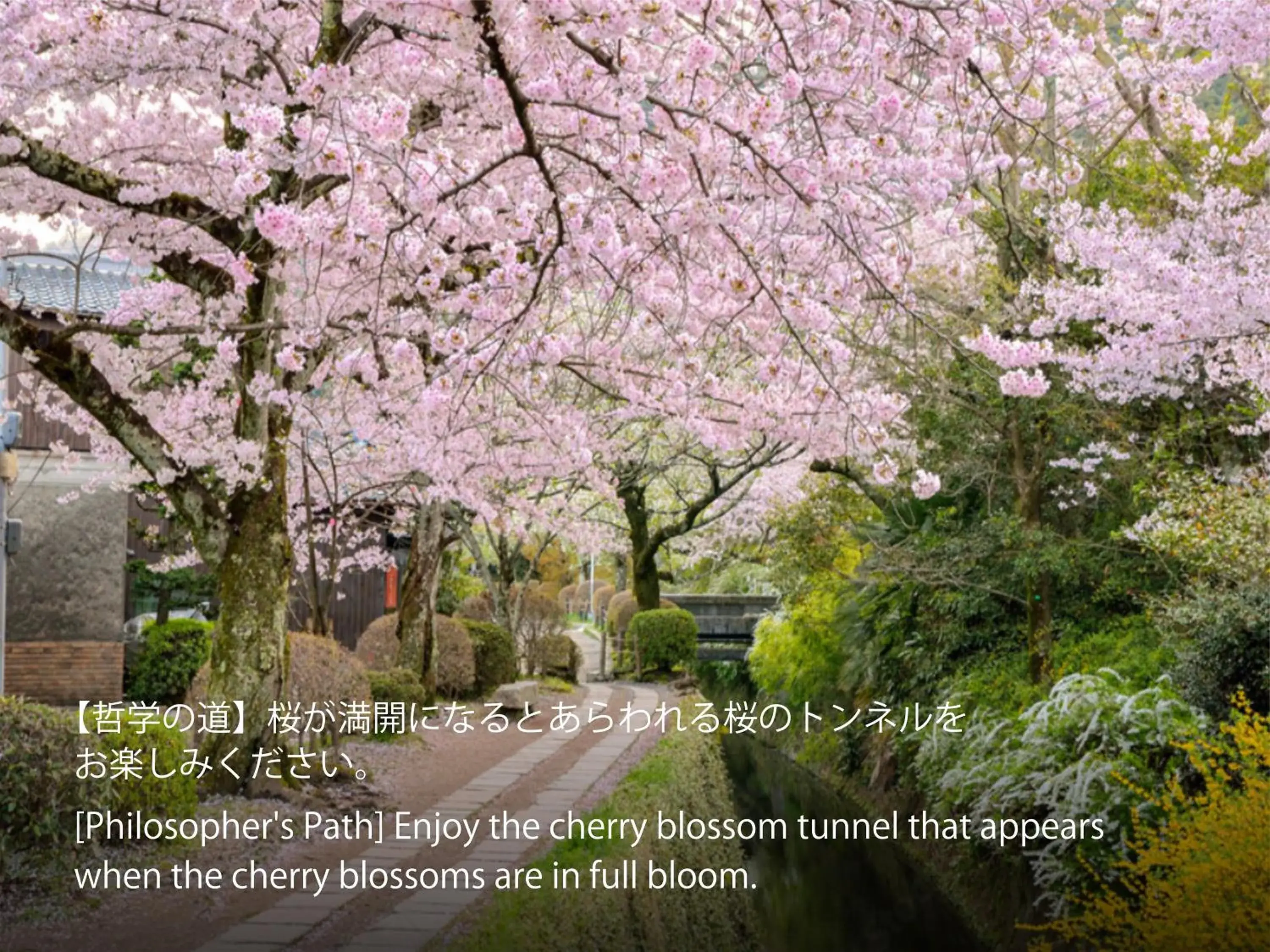 Nearby landmark in Hotel Resol Kyoto Kawaramachi Sanjo