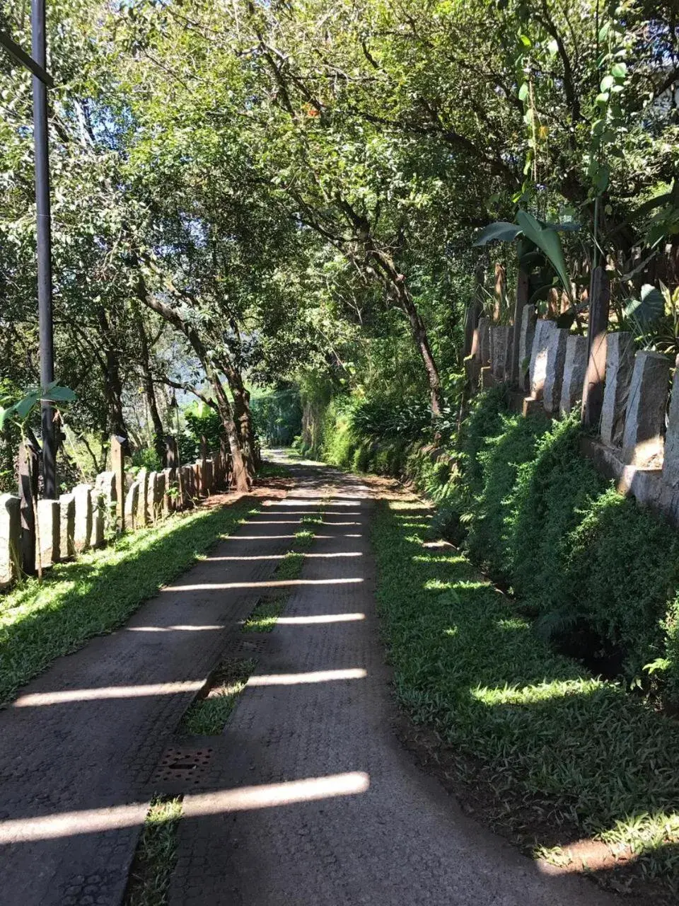 Garden in Blackberry Hills Retreat And Spa