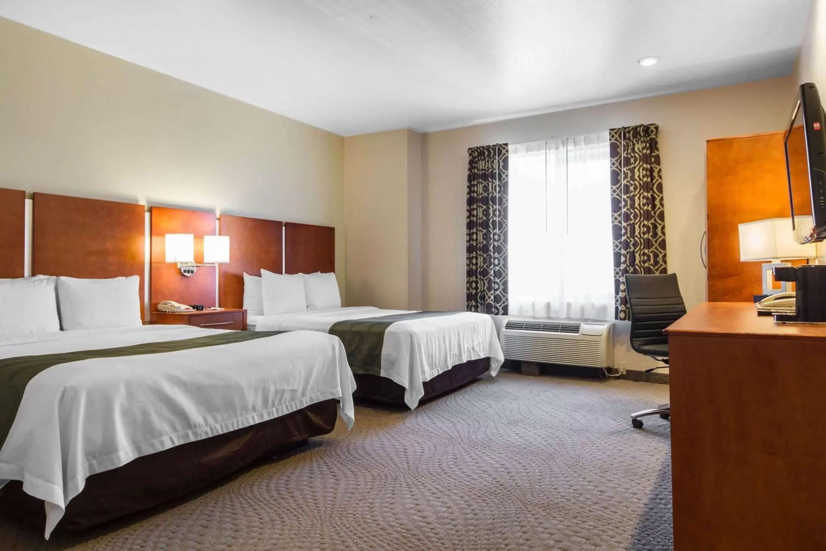 Photo of the whole room, Bed in Quality Inn San Jose Airport - Silicon Valley