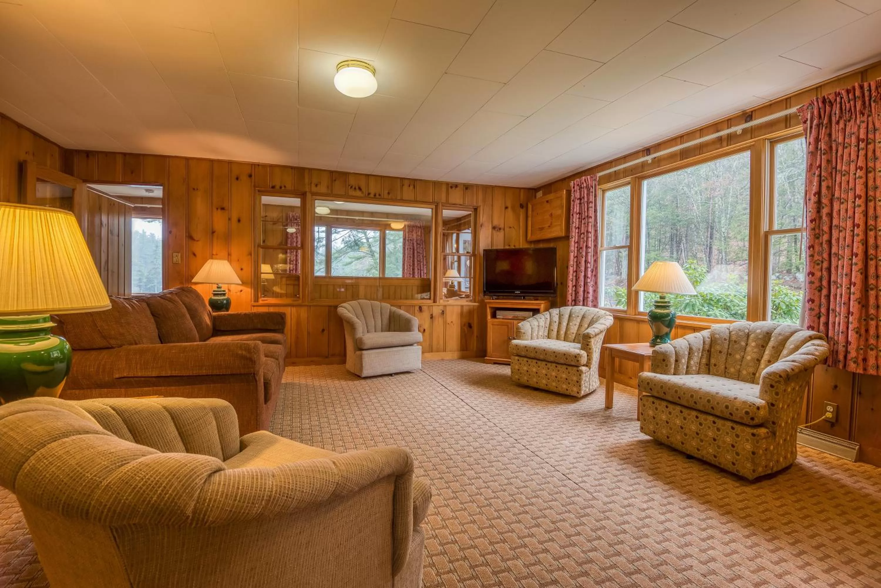 TV and multimedia in Purity Spring Resort