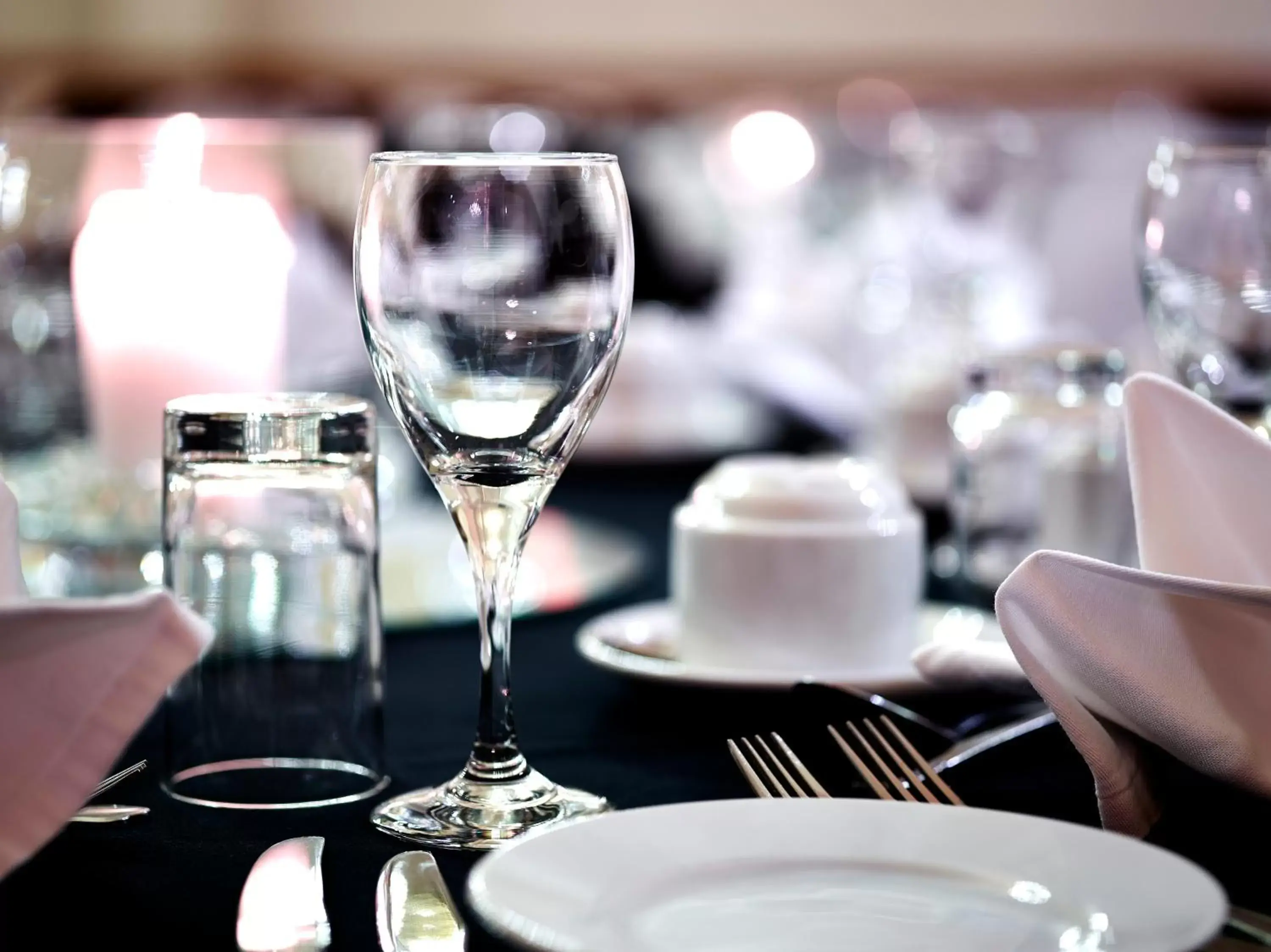 Banquet/Function facilities, Restaurant/Places to Eat in The Briar Court Hotel