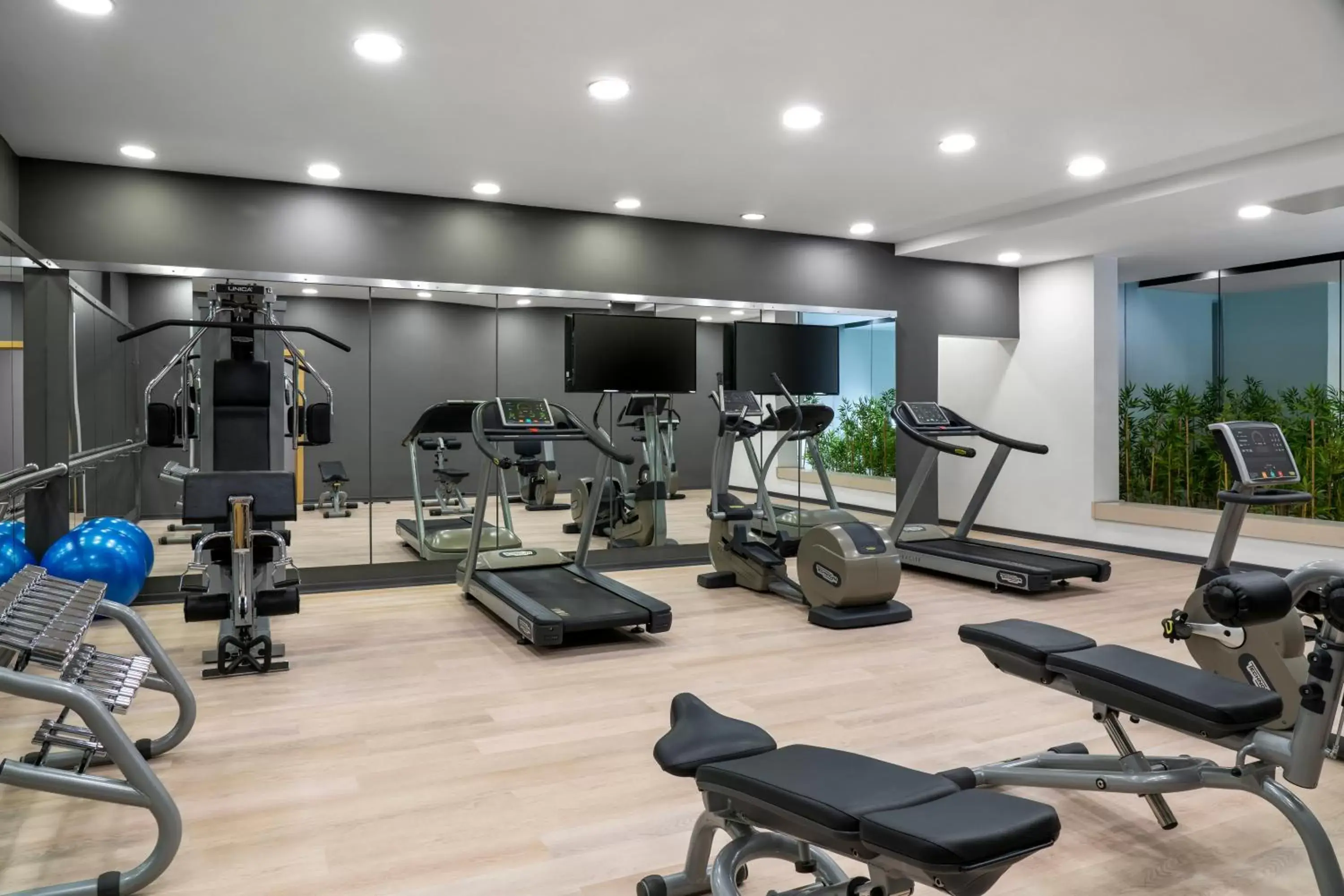 Fitness centre/facilities, Fitness Center/Facilities in Novotel Kayseri