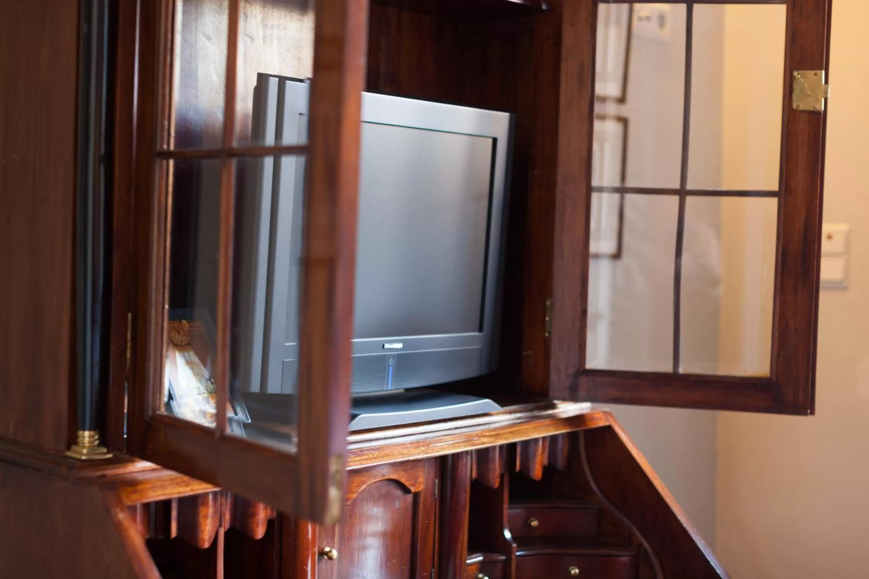 TV and multimedia in Hotel Diamonds and Pearls