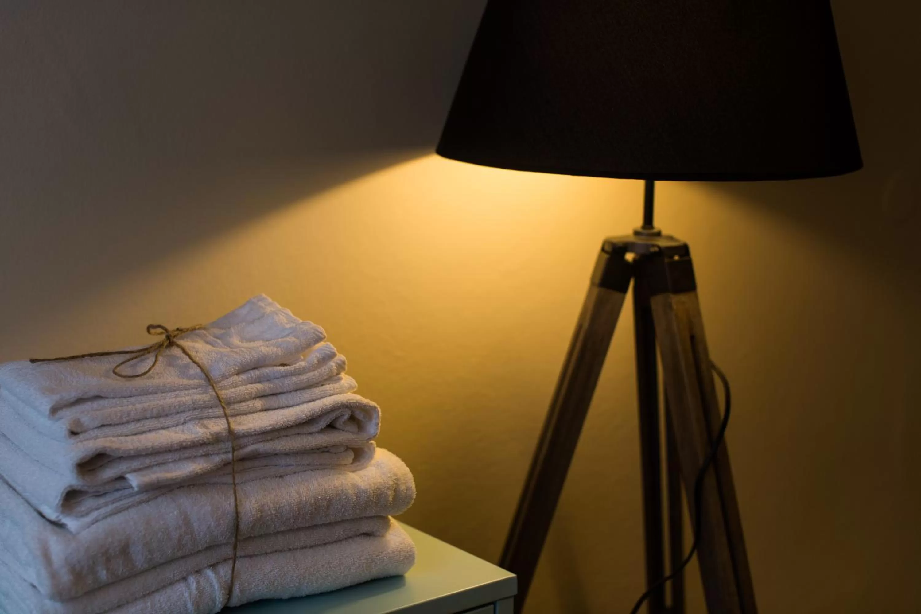 1920 Maison et Musique Hotel