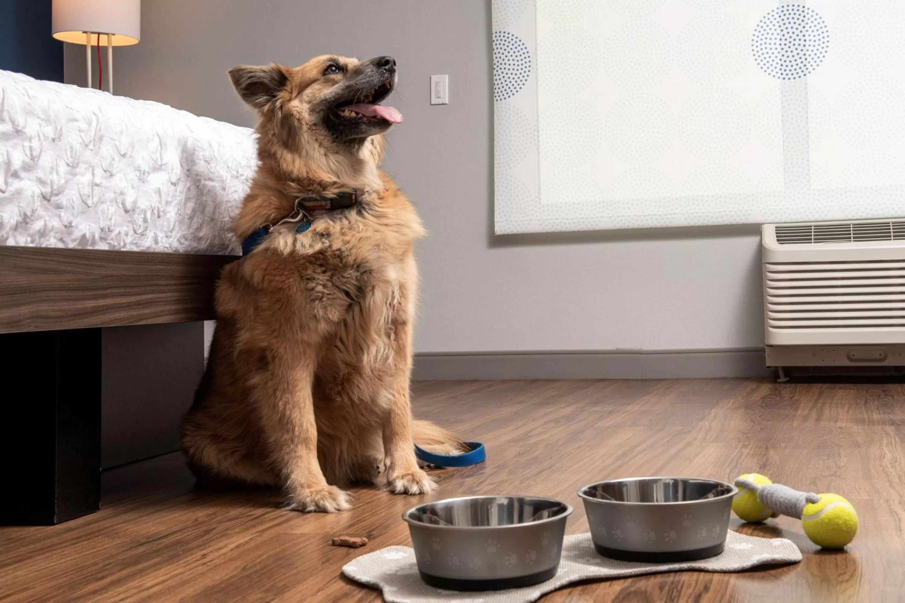 Photo of the whole room in Tru By Hilton Rapid City Rushmore, Sd