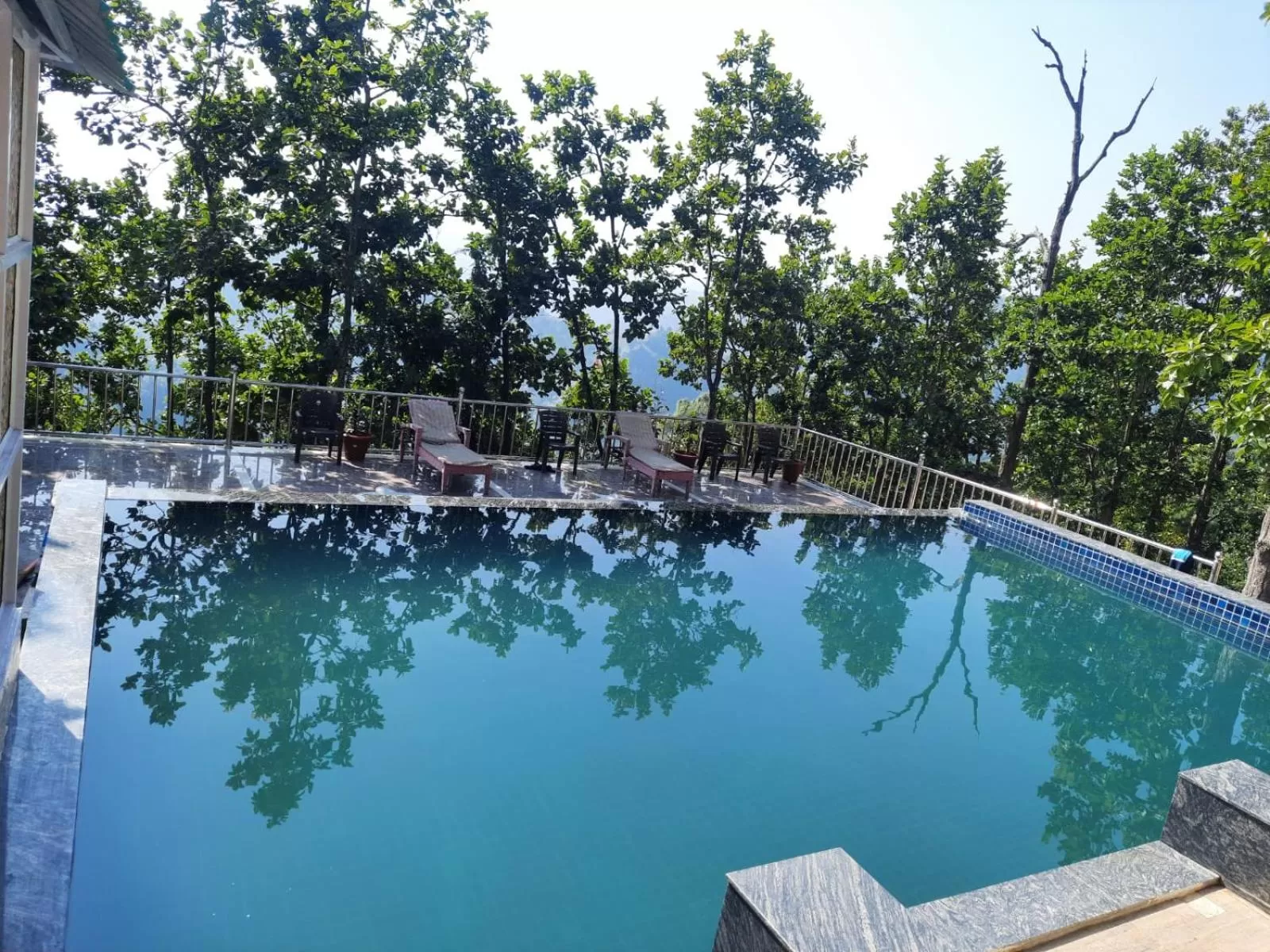 Swimming Pool in Blue Pine Orchards - Villas