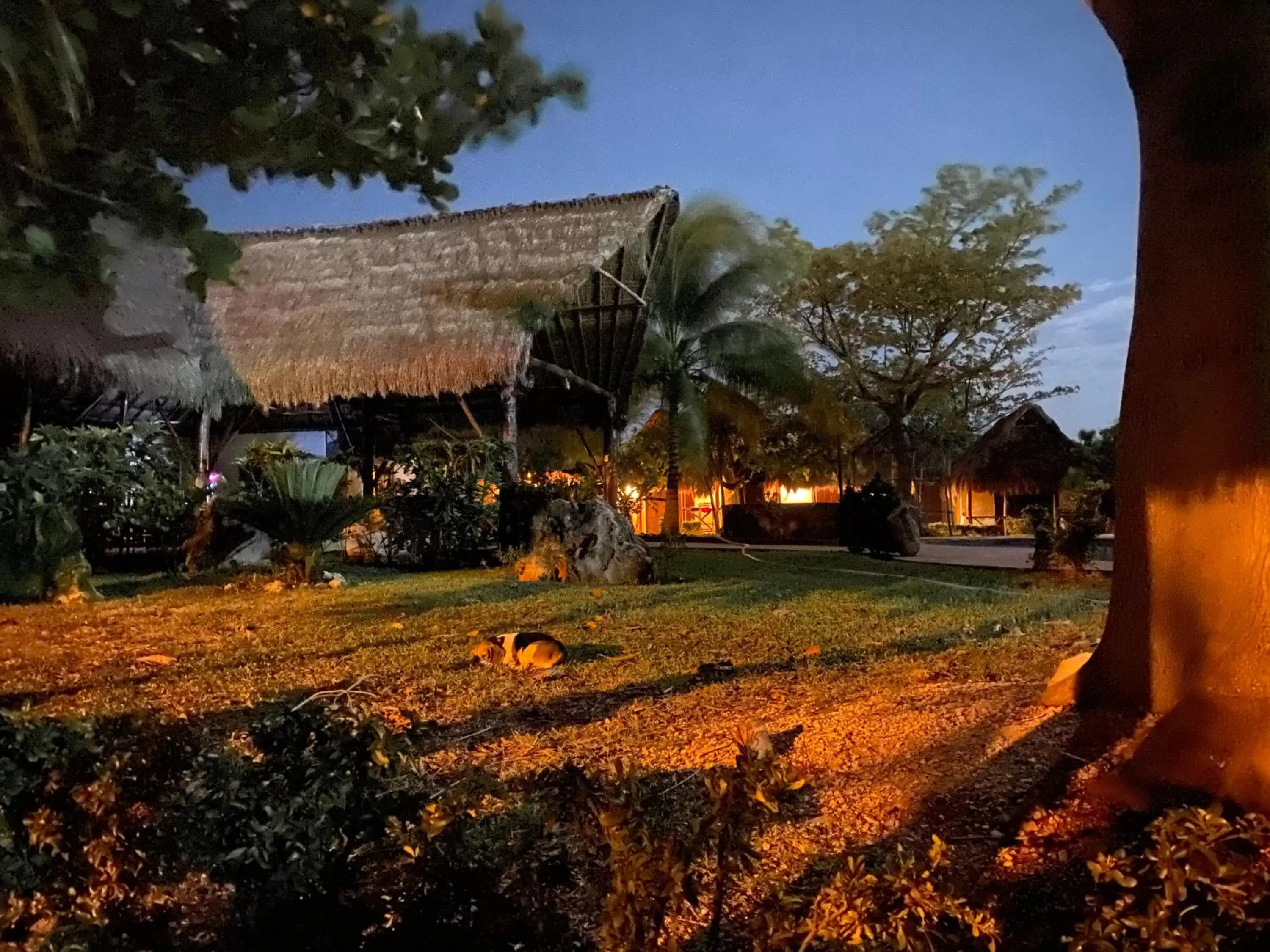 Property building in Mangrove King Fishing Lodge