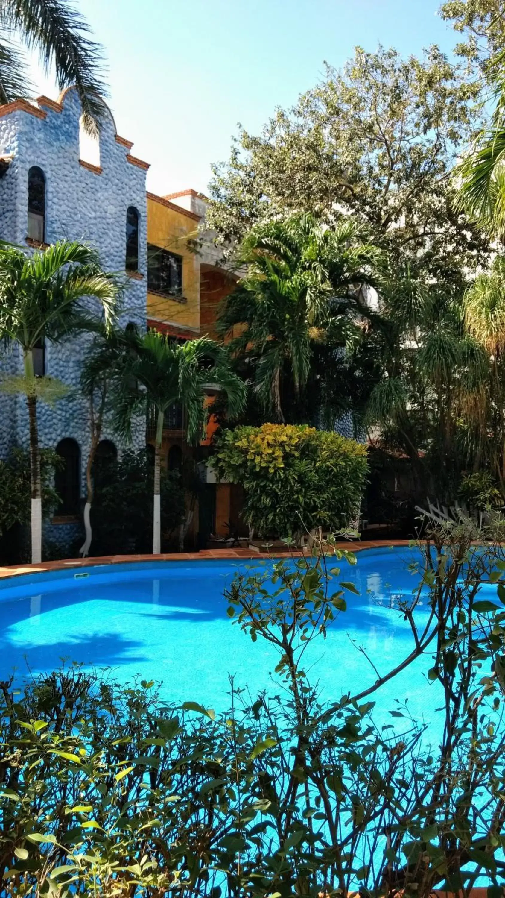 Garden, Swimming Pool in Maya Vacanze Playa Alegria