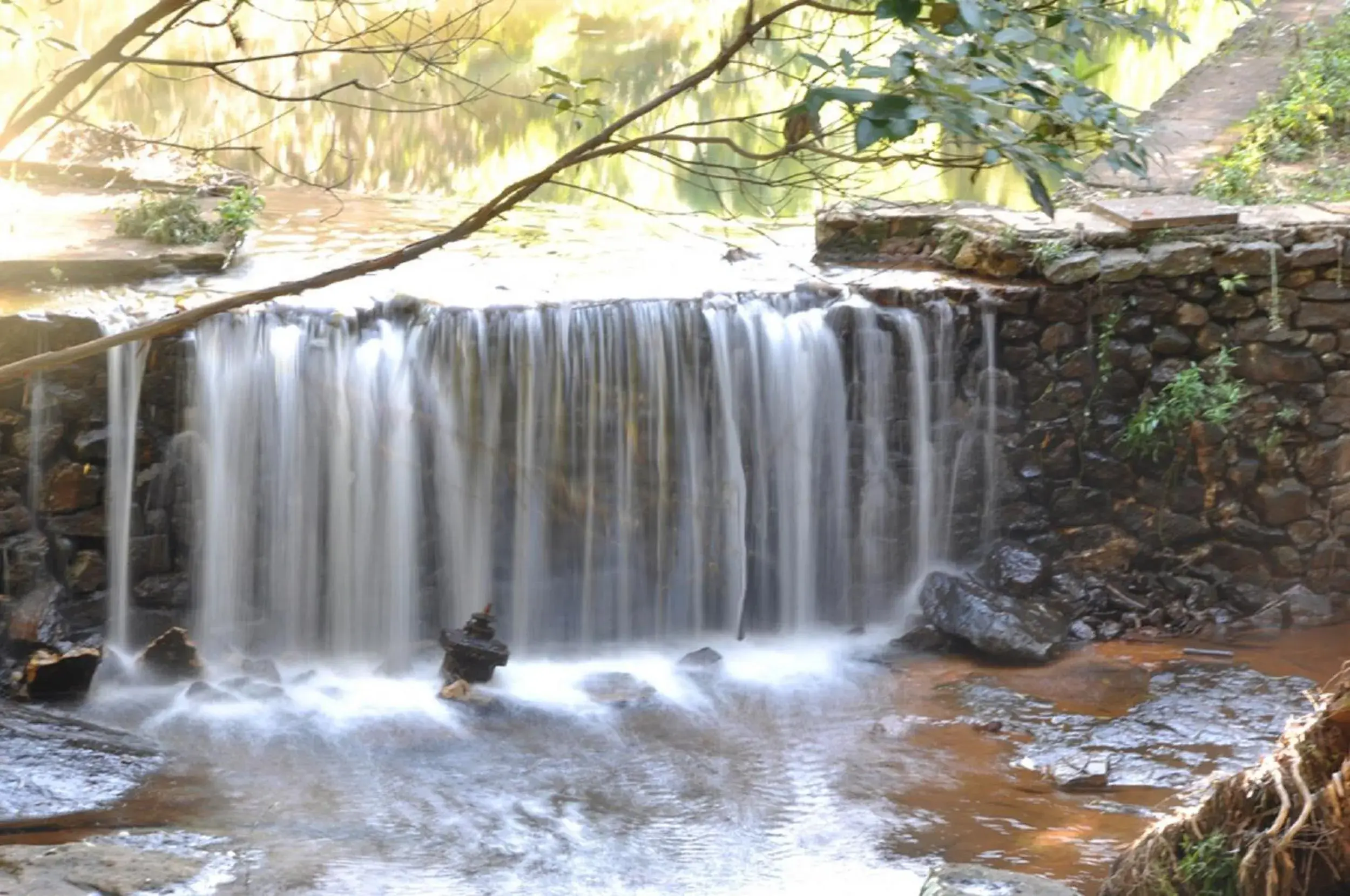 Garden in Escarpment Retreat & Day Spa for Couples