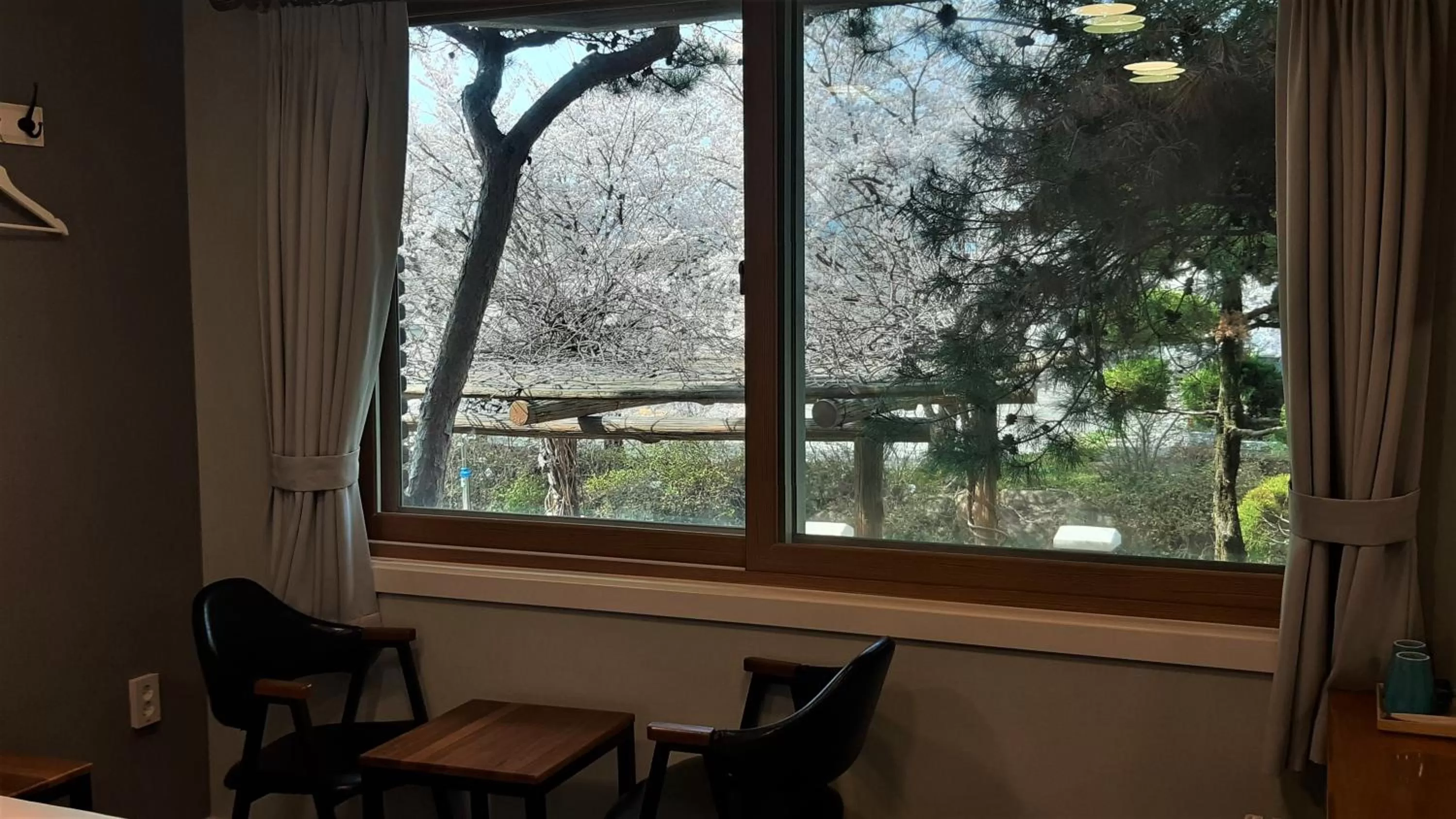 Garden view in Hotel Jirisan Haetsal