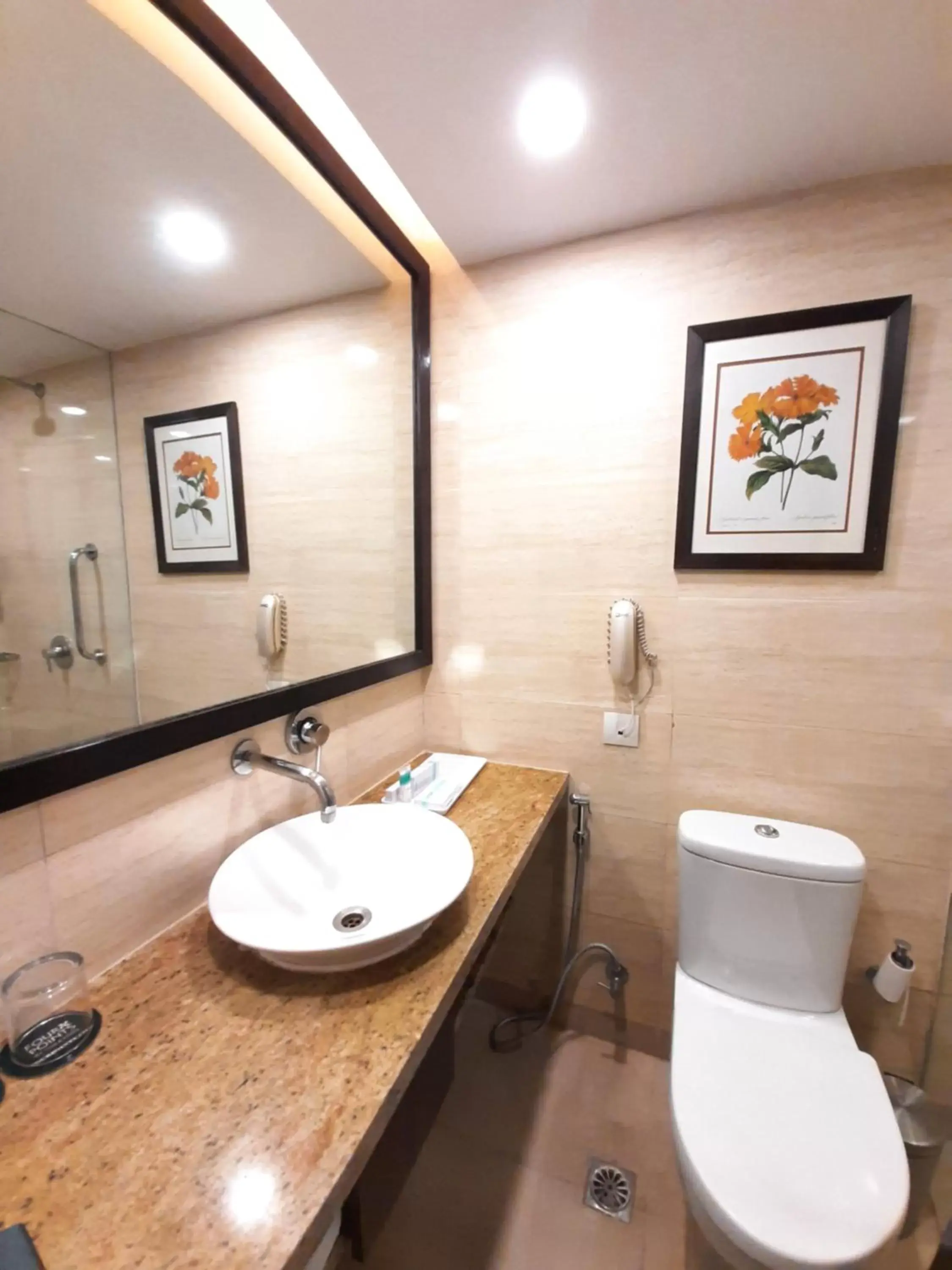 Toilet, Bathroom in Four Points by Sheraton Vadodara