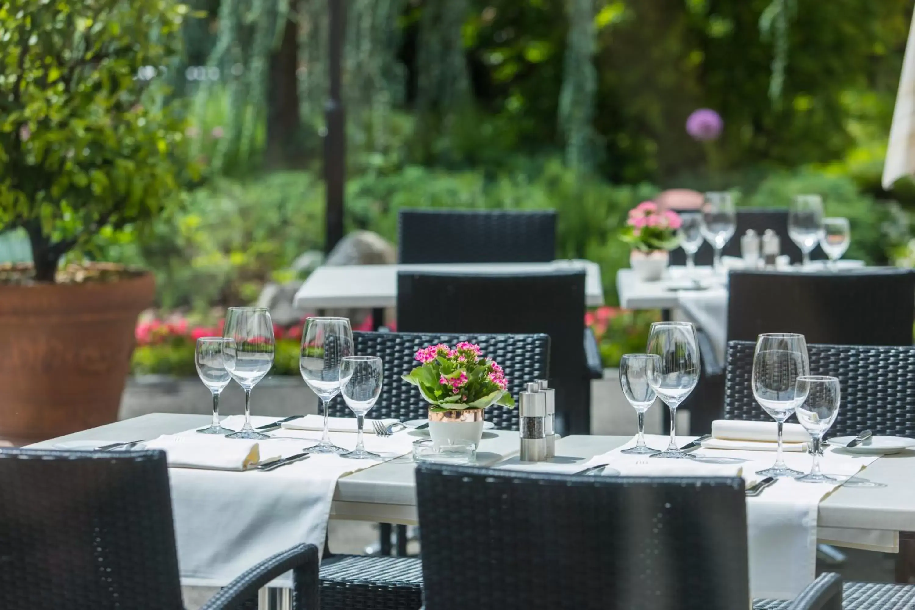 Balcony/Terrace, Restaurant/Places to Eat in Tertianum Residenza Hotel & Ristorante Al Parco