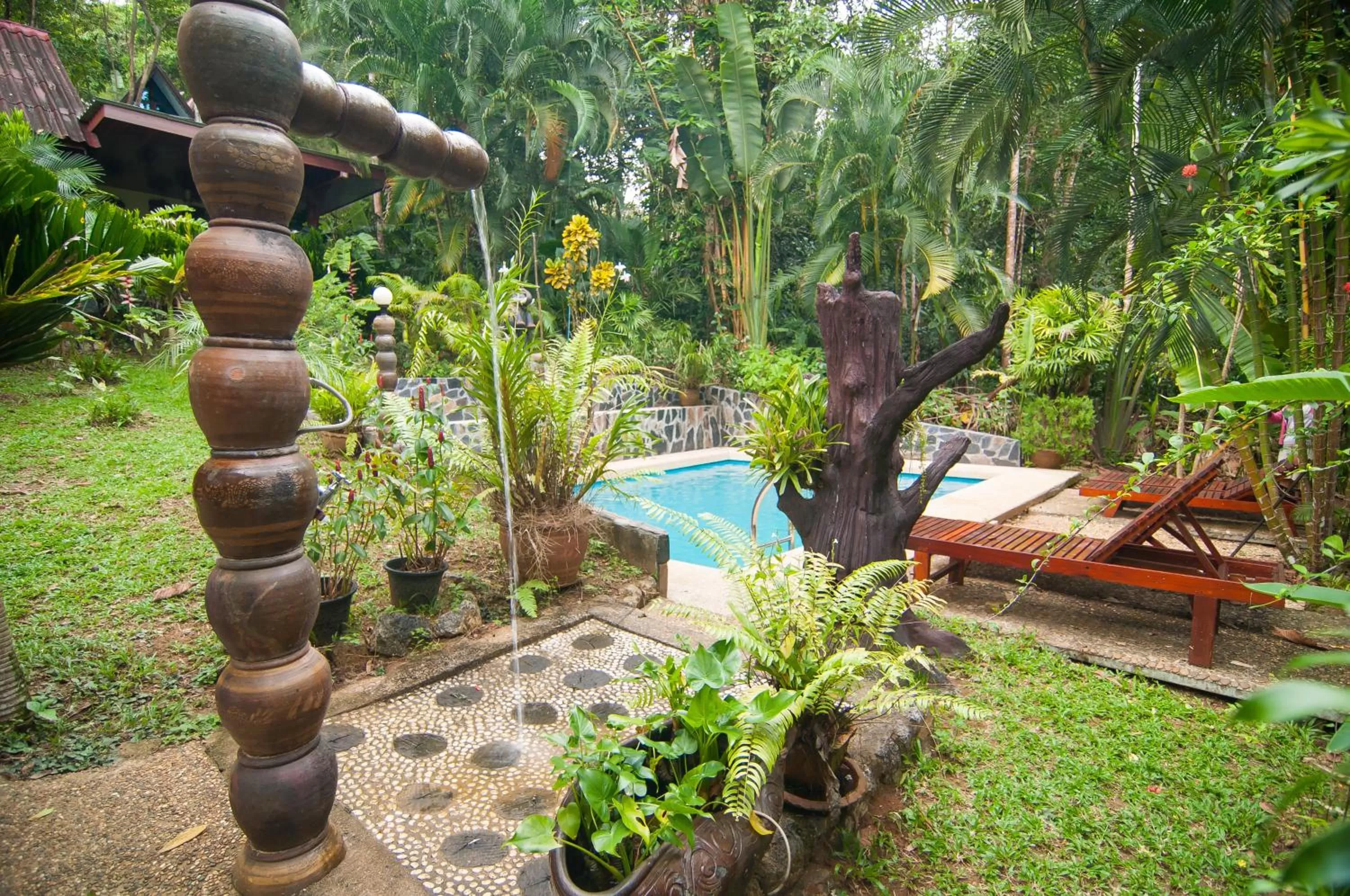 Swimming pool in Khao Sok Las Orquideas Resort