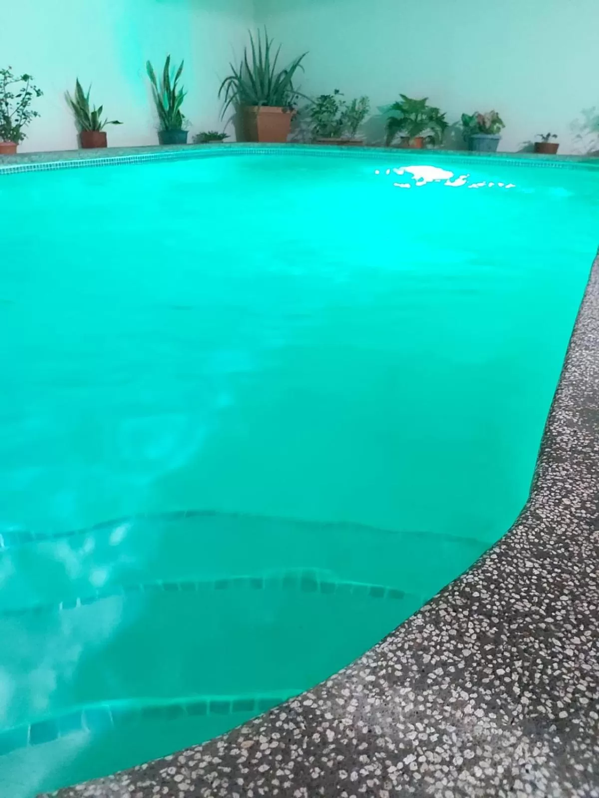 Swimming pool in Hotel Villa Angelo