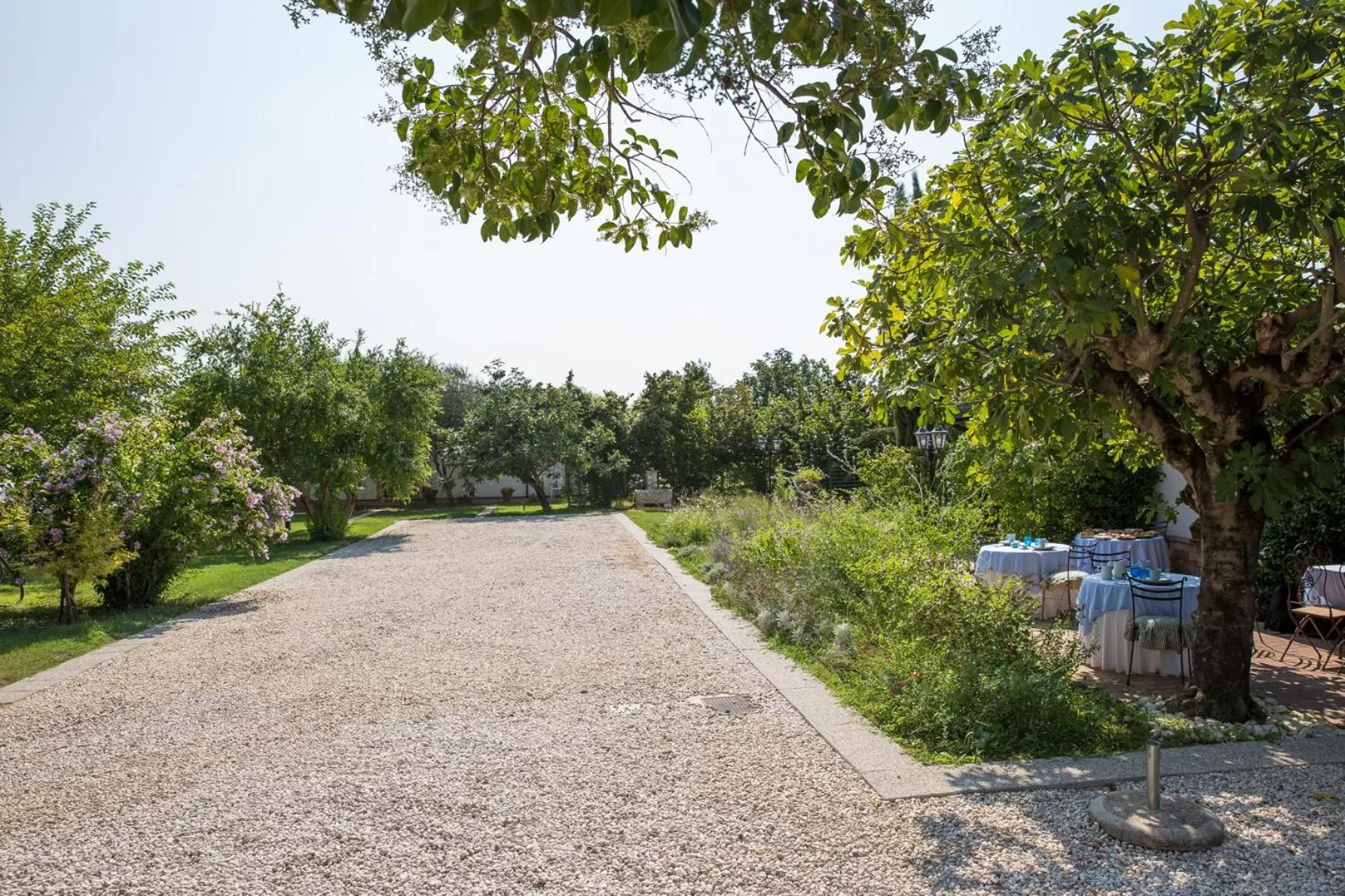 Property building in Antico Casale Spezia Pelagalli