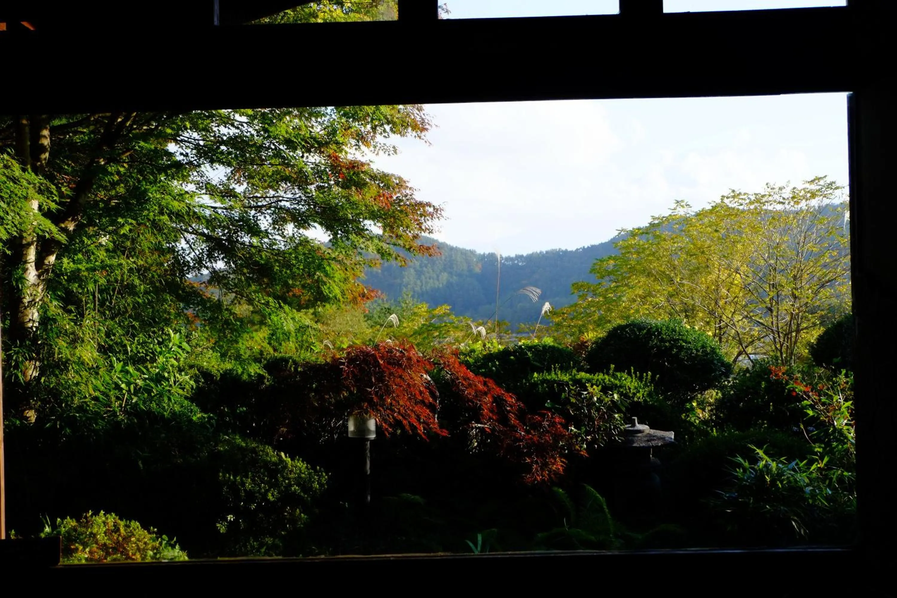 View (from property/room) in Guesthouse Sakuya