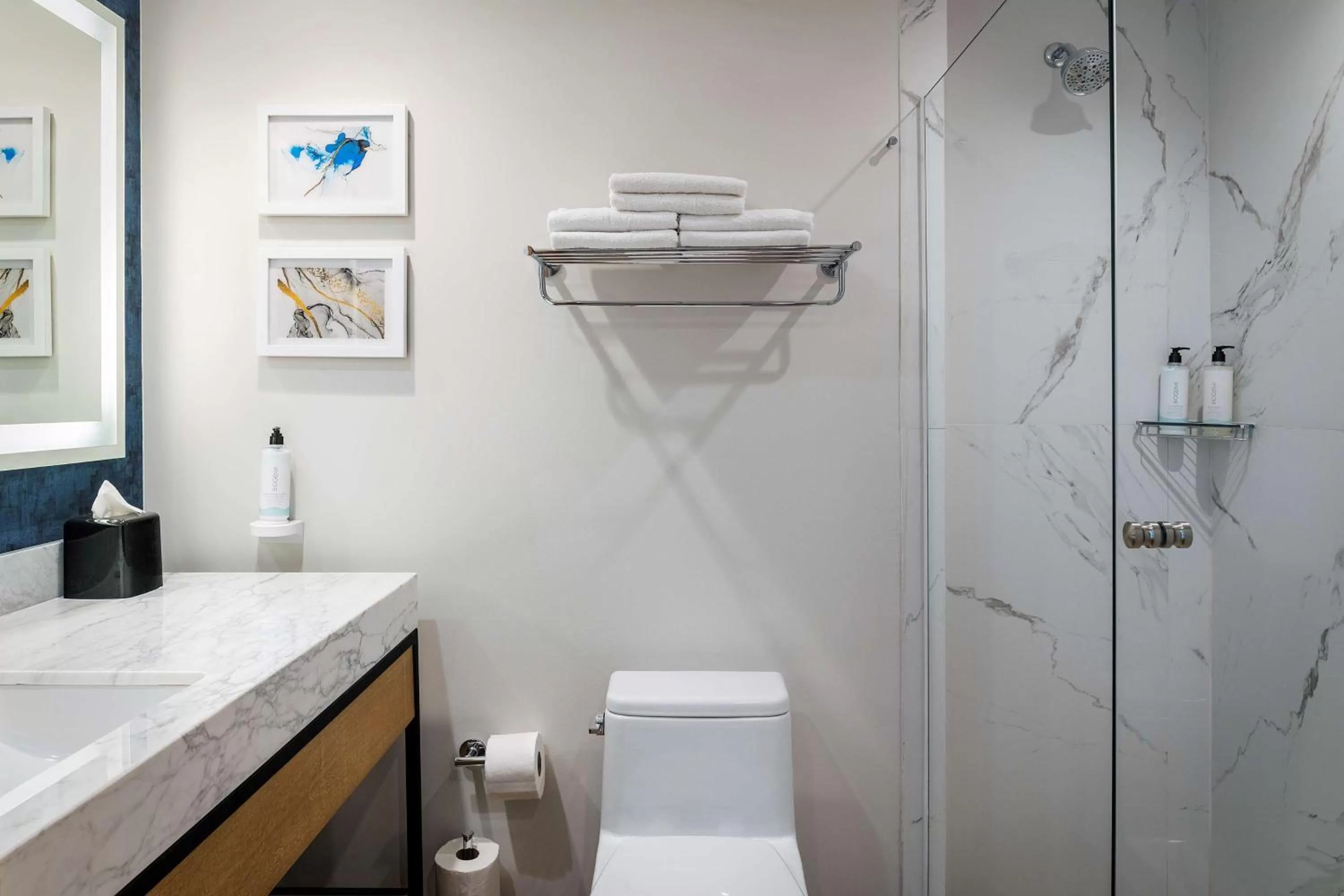 Toilet in Hilton Garden Inn Cancun Airport