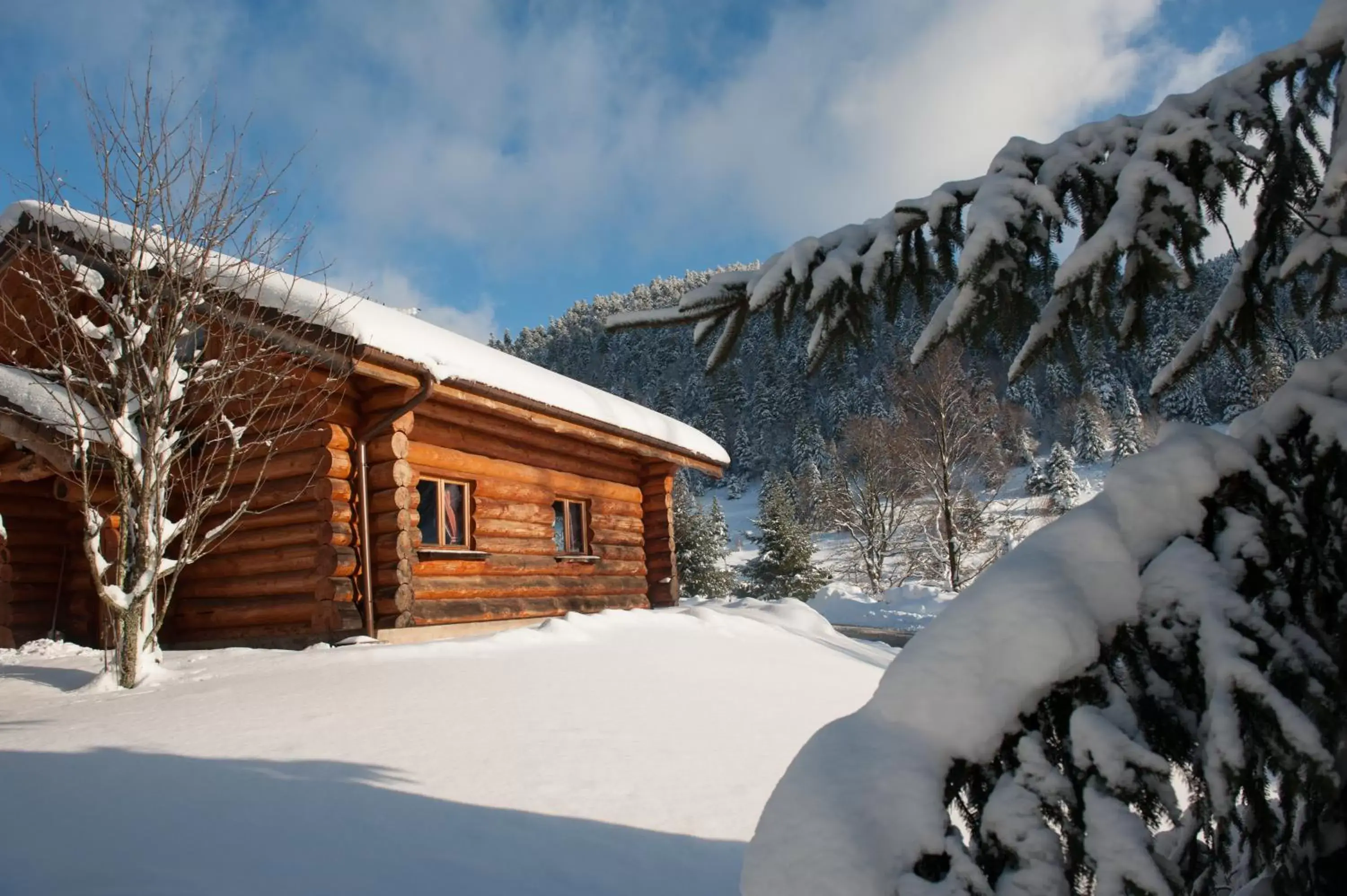 Three-Bedroom Chalet (6 People)  in Le Couarôge Chalets et Appartements