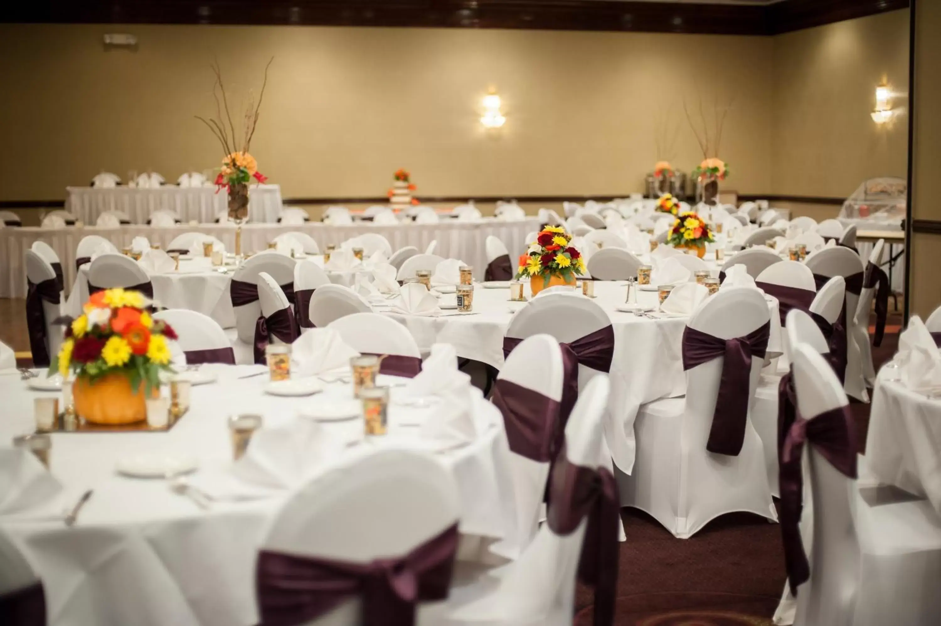 Meeting/conference room, Banquet Facilities in Holiday Inn Youngstown-South - Boardman, an IHG Hotel