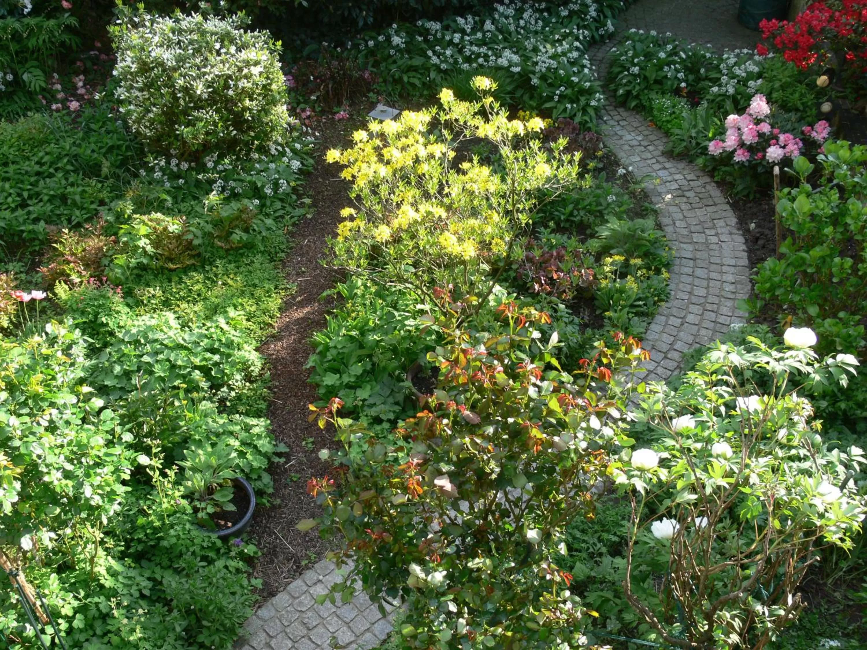 Garden view in Die Villa Mettmann