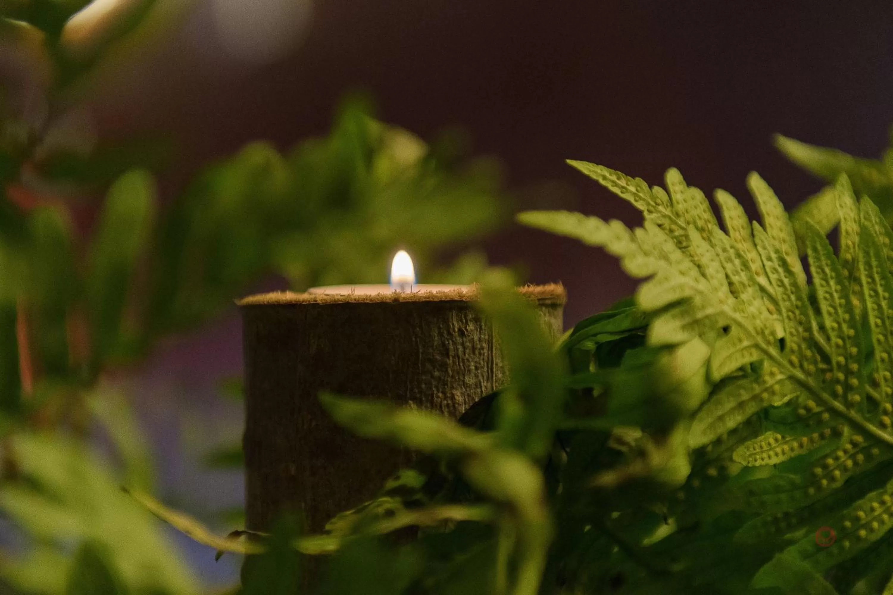 Your Hotel & Spa Alcobaça