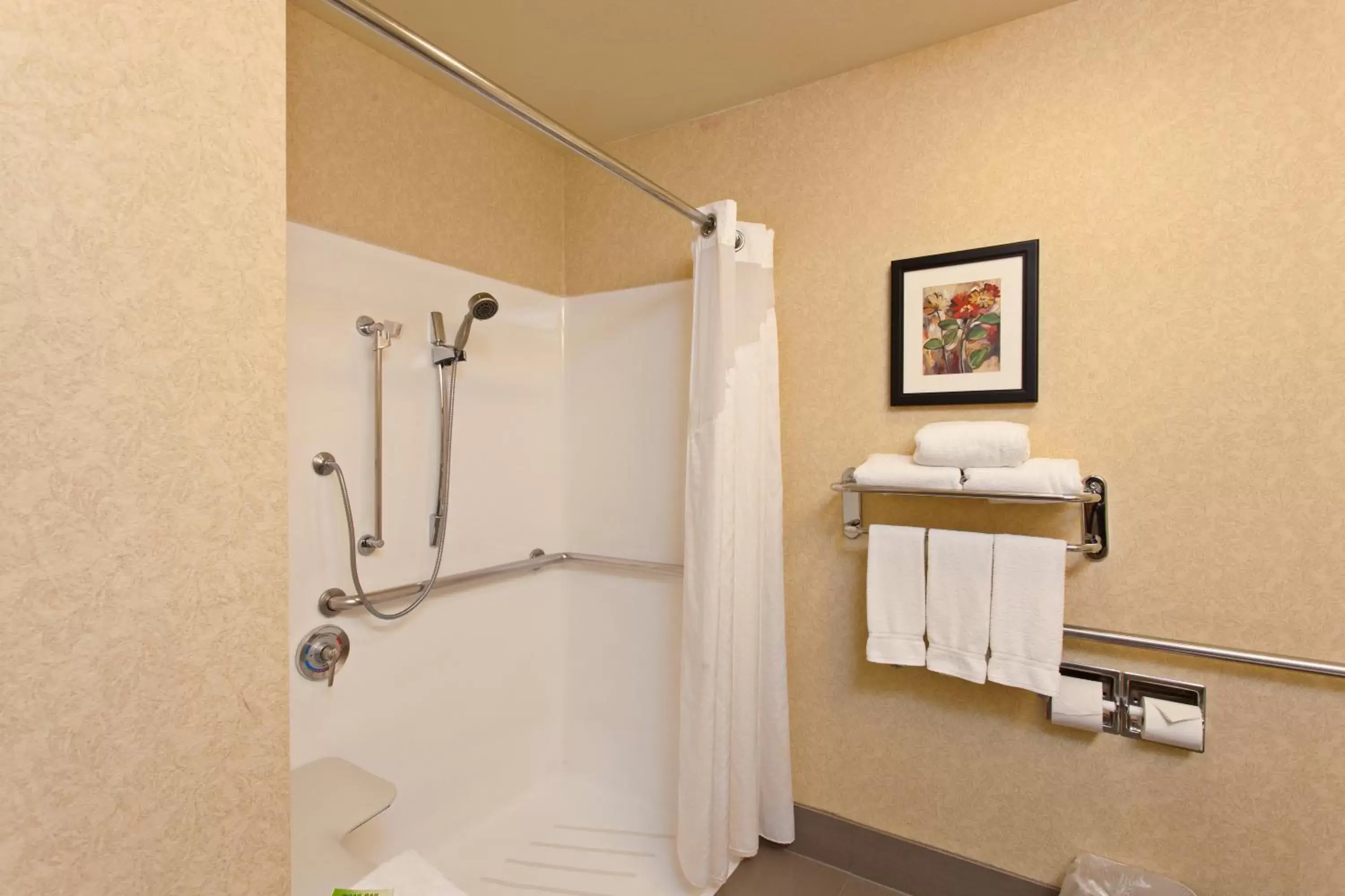King Room - Mobility Access/Roll in Shower - Non-Smoking in Holiday Inn Express Temecula, an IHG Hotel King Room - Mobility Access/Roll in Shower - Non-Smoking in Holiday Inn Express Temecula, an IHG Hotel