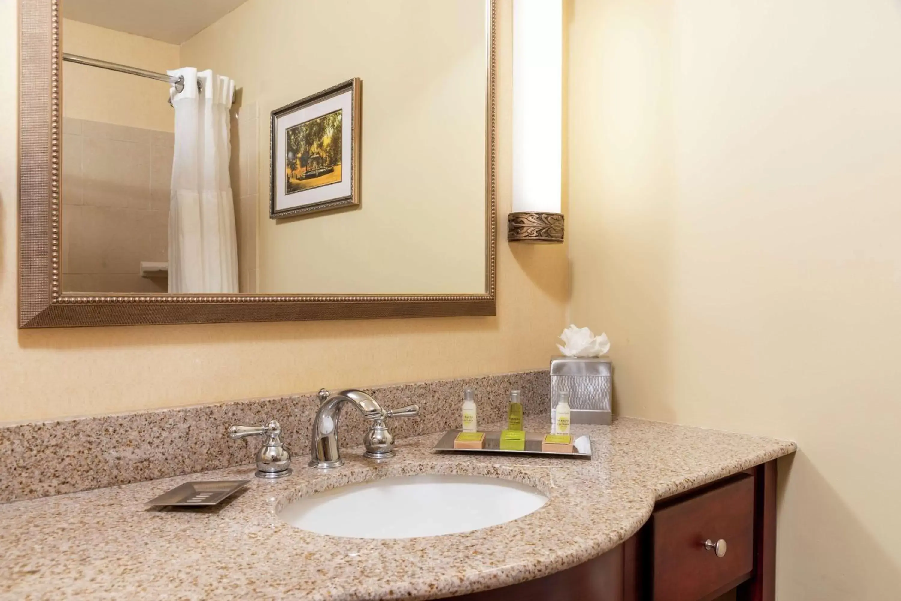 Bathroom in DoubleTree by Hilton Hotel Grand Rapids Airport