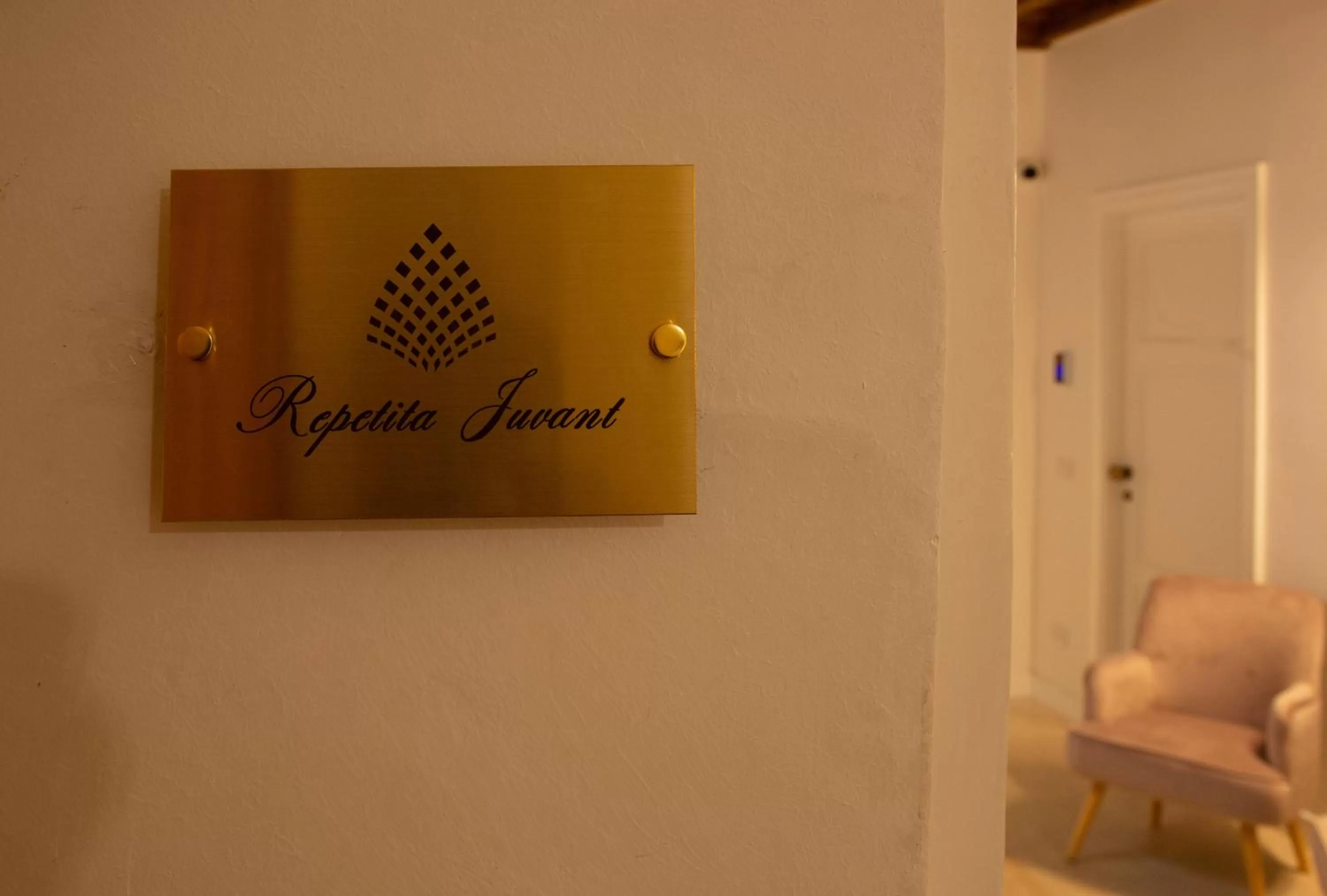 Property logo or sign in Repetita Juvant