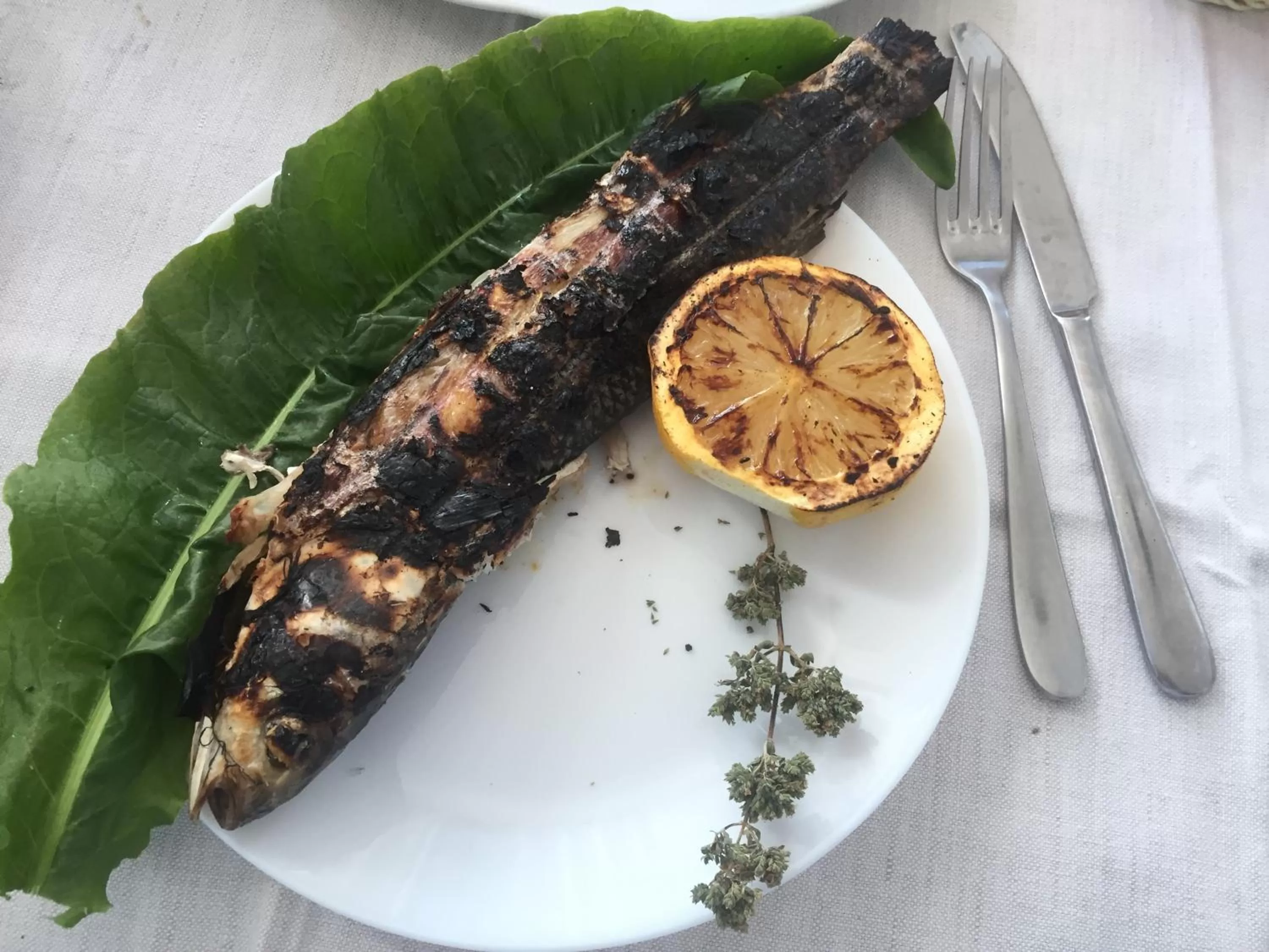 Restaurant/places to eat, Food in Vila Rahmi & Veli Dervishaj