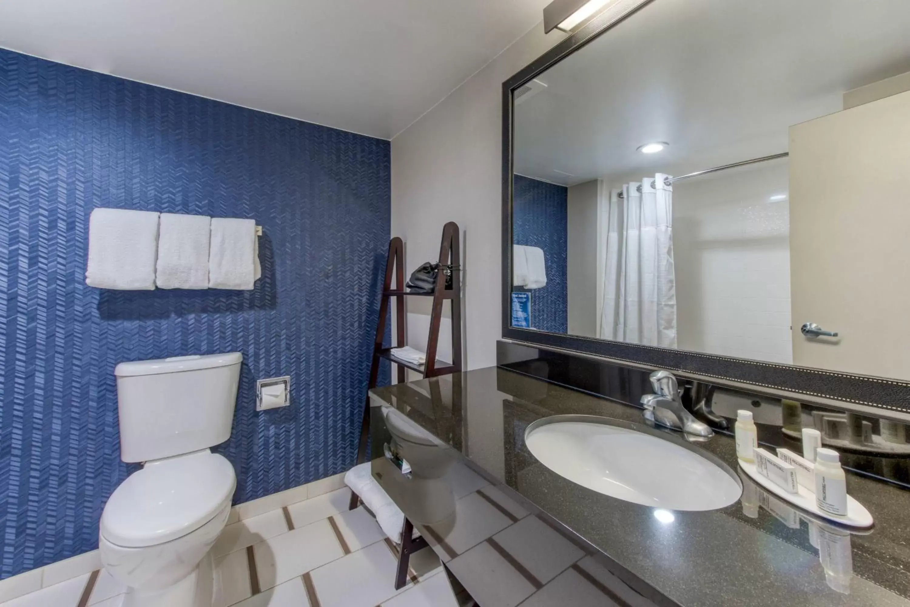 Bathroom in Fairfield Inn & Suites Raleigh Crabtree Valley
