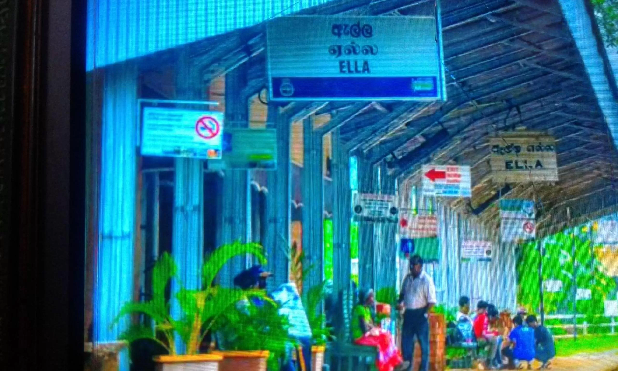 Ella Lucky Panoramic