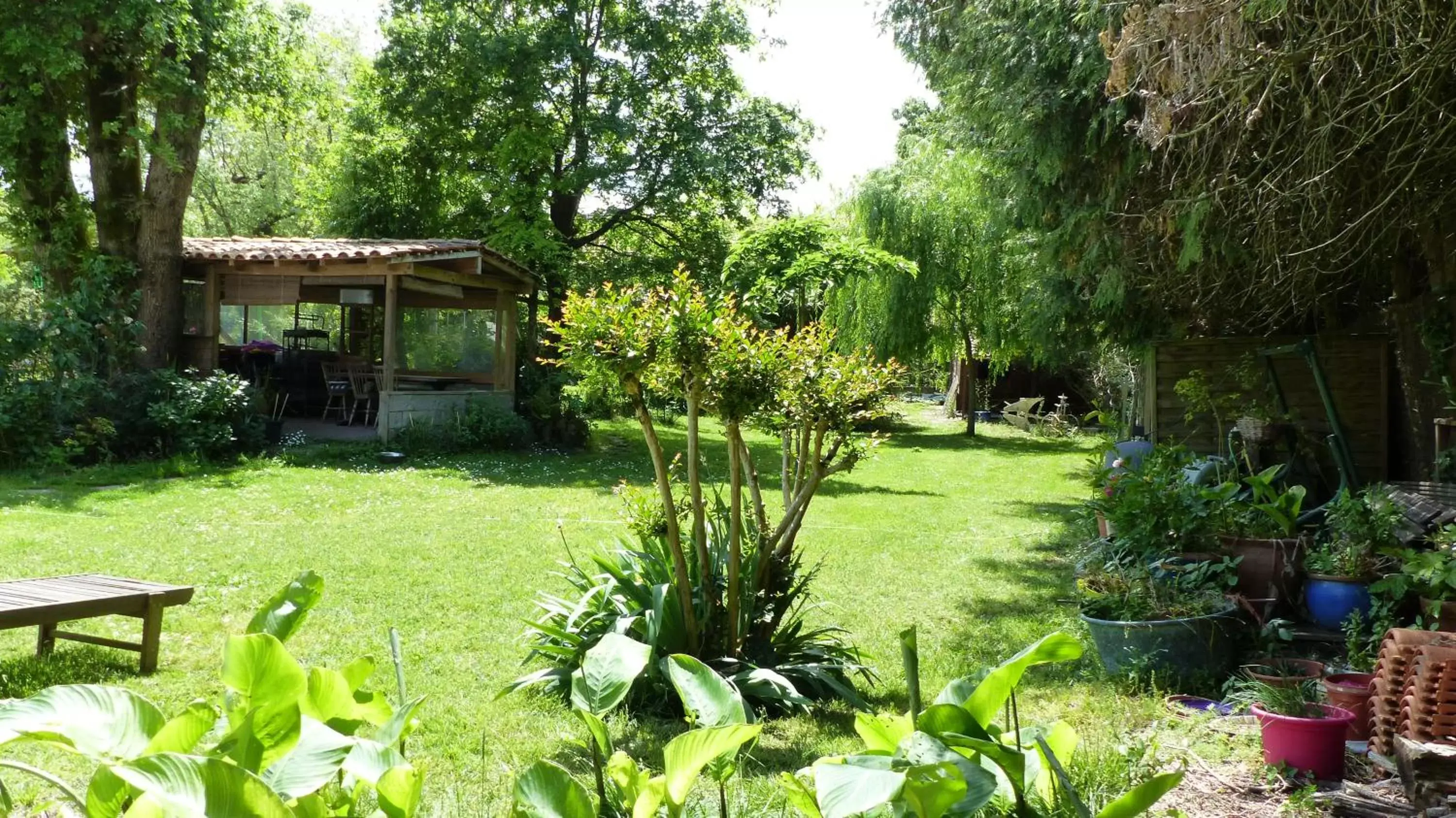 Day, Garden in Maison Lucilda