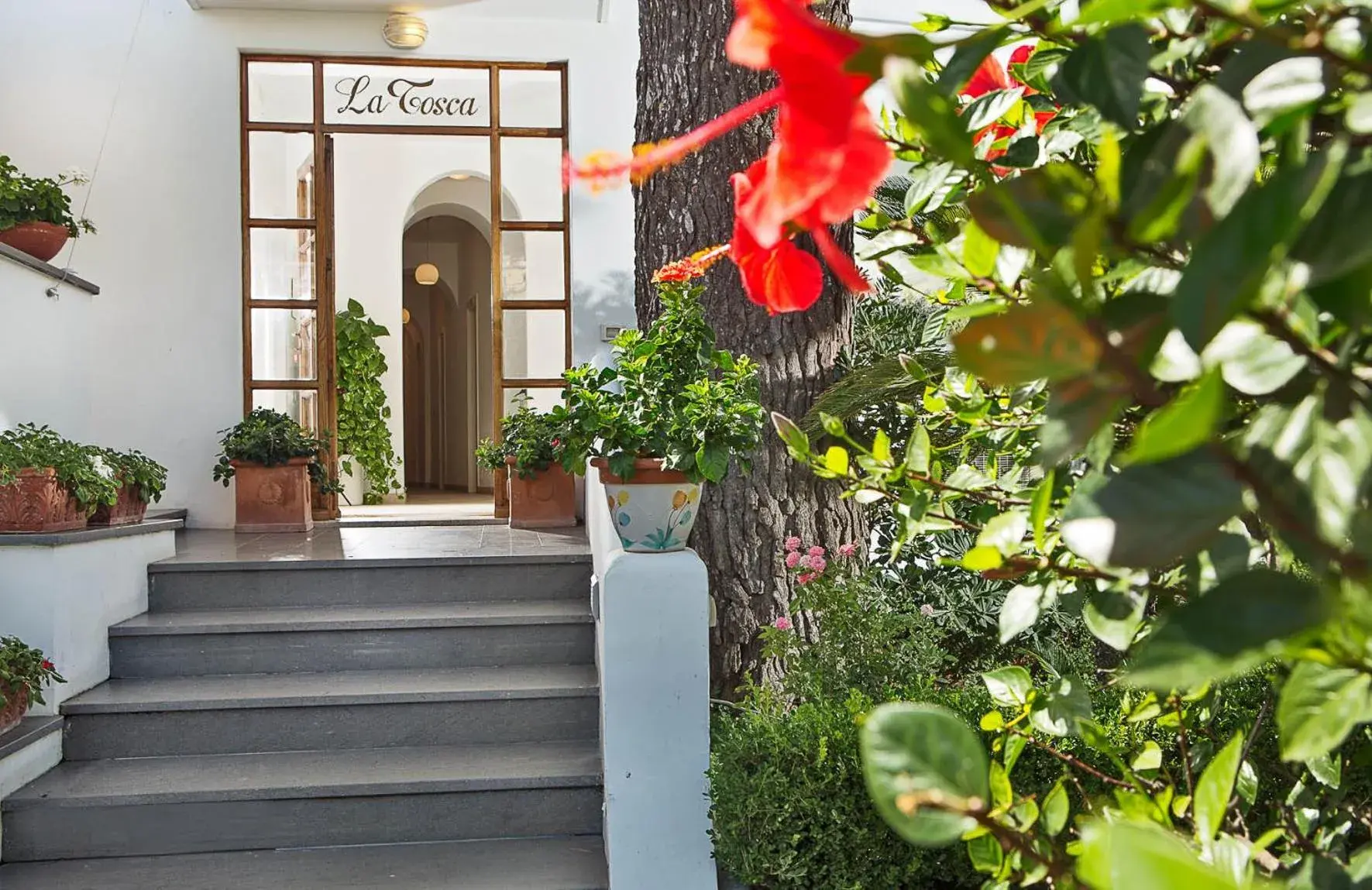 Facade/entrance in Hotel La Tosca