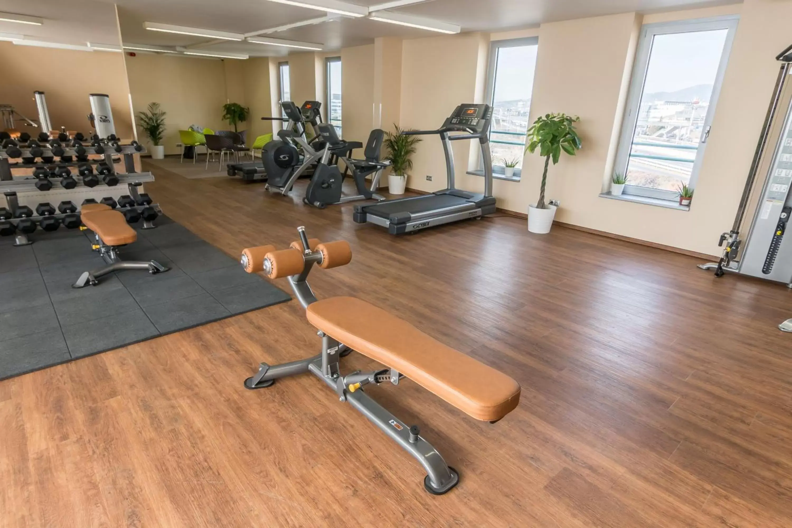 Fitness centre/facilities, Fitness Center/Facilities in Holiday Inn Budapest-Budaörs, an IHG Hotel